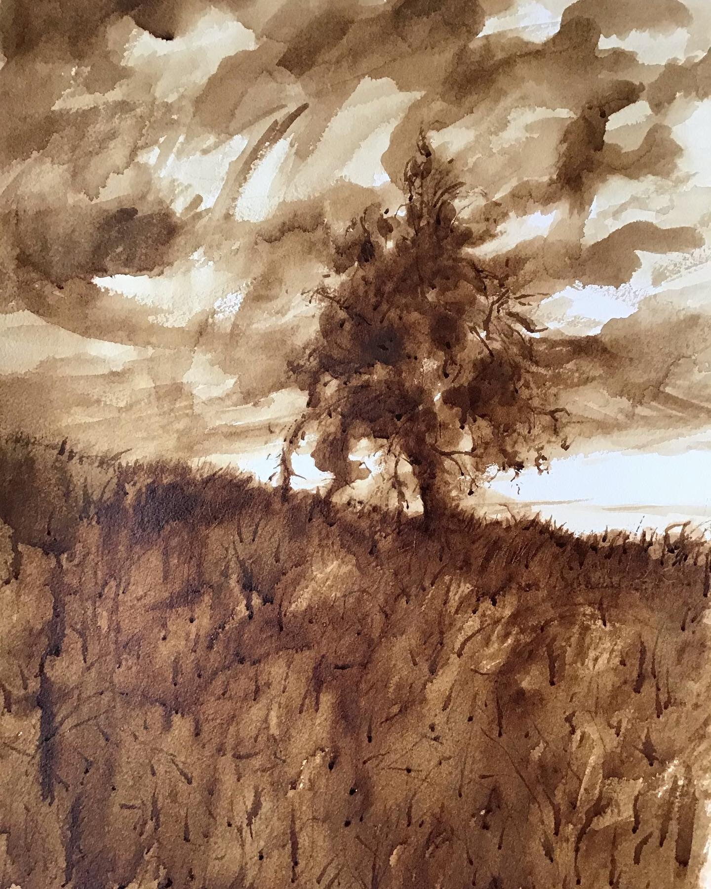 1) &lsquo;Storm Tree&rsquo; French sepia ink 74 x 89 cm (framed) 2) &lsquo;Flowing&rsquo; French sepia ink 74 x 94 cm (framed) 3) &lsquo;Reeds&rsquo; French sepia ink 74 x 91 cm (framed)