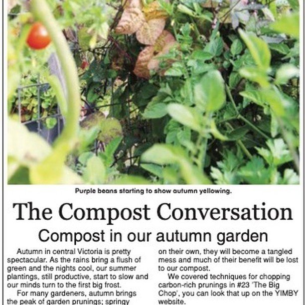 #34 Giving care full consideration for managing the abundance of autumn goodness from our gardens to maximise use in the compost and cycling nutrients and caring for density... 
access to full article in bio

#yimbycompost 
#continuoushotcompost
#com
