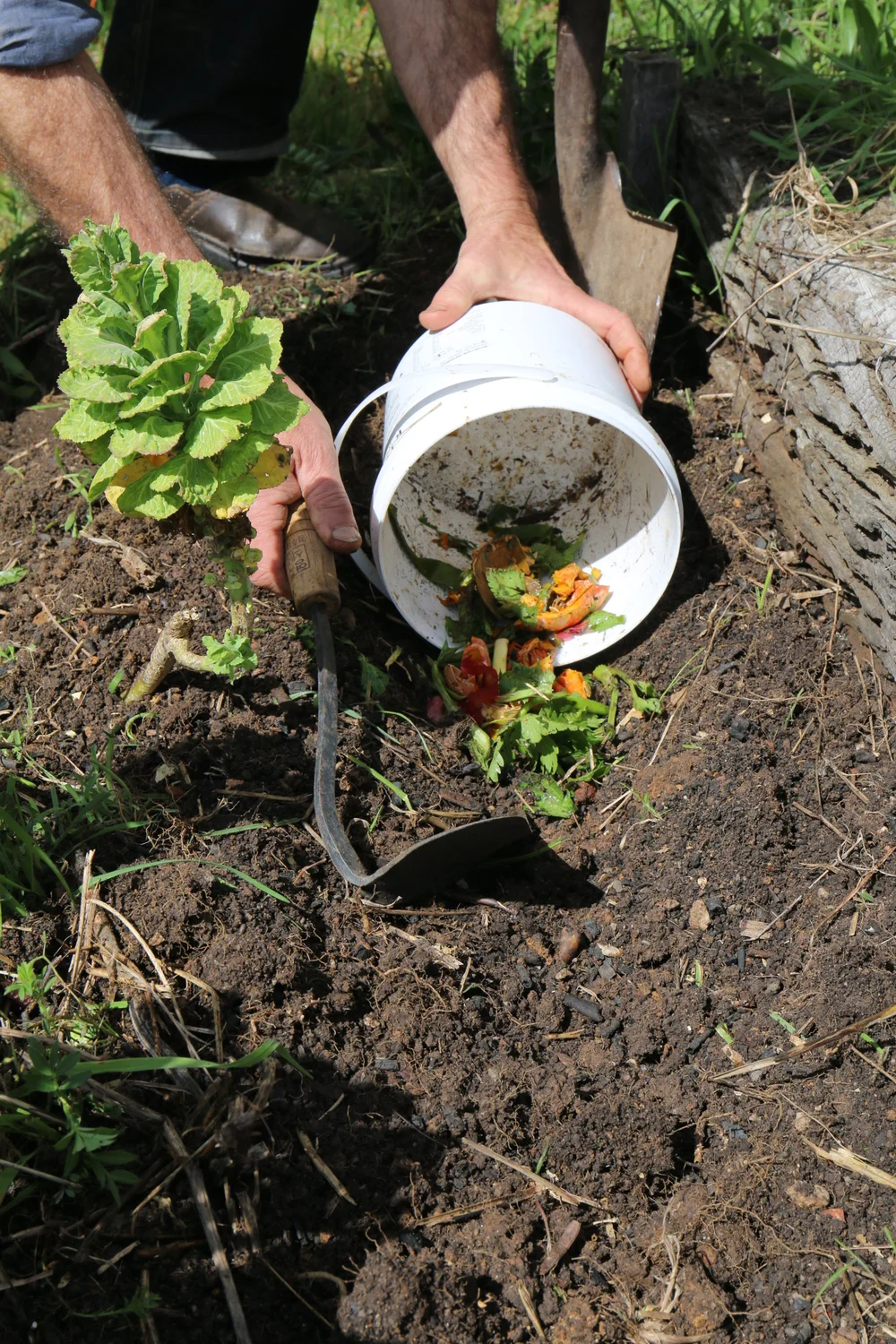 “Just chuck it in the garden” - the finer points of trench composting ...