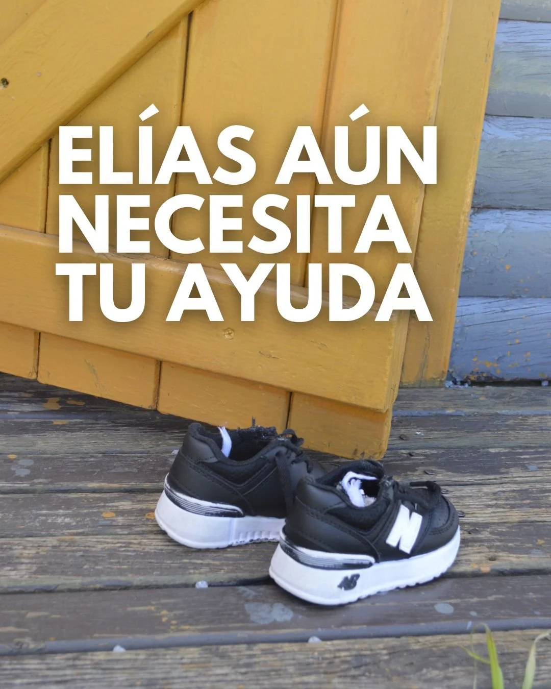 Sin un apoyo continuo, el progreso que El&iacute;as ha logrado podr&iacute;a estar en riesgo. Pero tu donaci&oacute;n ayudar&aacute; a asegurar que &eacute;l reciba los alimentos, suplementos y atenci&oacute;n nutricional que necesita para seguir for