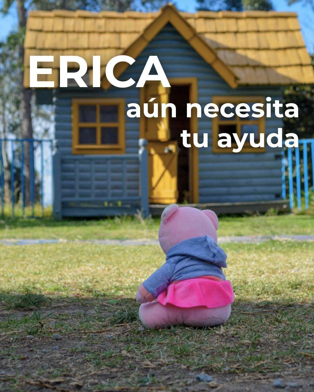 El tiempo se acaba😔, pero sabemos que T&Uacute; no dejar&aacute;s a Erica sola. ✨ 

Estamos prontos a  cerrar nuestra campa&ntilde;a pero, a&uacute;n no hemos llegado a la meta. A&uacute;n estas a tiempo de hacer posible que Erica* y que cada ni&nti