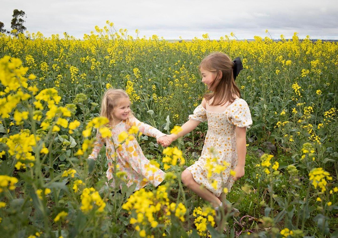 Canola Fields! 

September 27th - 9:30am &amp; 12pm
September 30th 4, 4:30 &amp; 5pm 
October 10th 4, 4:30 &amp; 5pm 
October 15th 10, 10:30, 11:30, 5, 5:30 &amp; 6pm 

Don&rsquo;t miss out we only get a few weeks per year xx