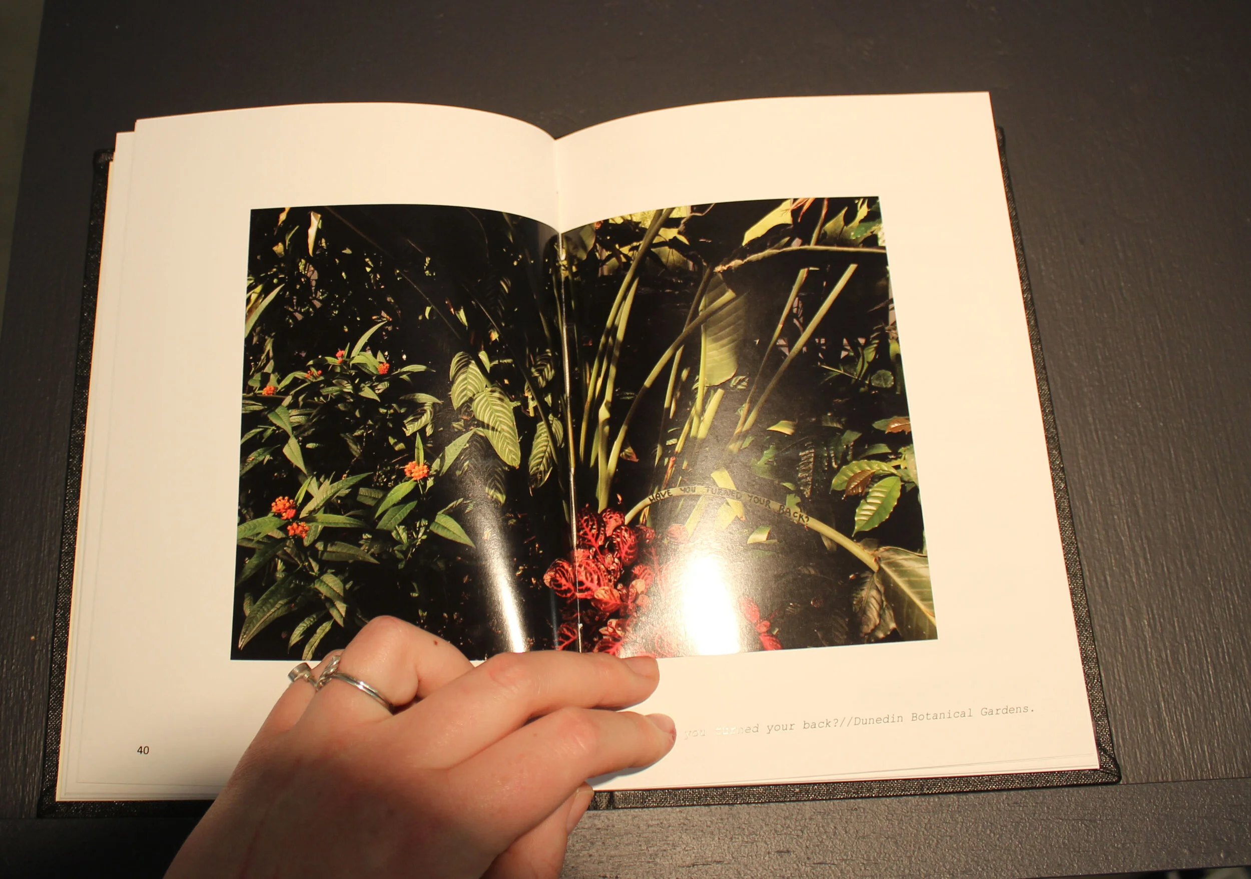 Help Me, Help You; A Guide for Eco-Worriers.