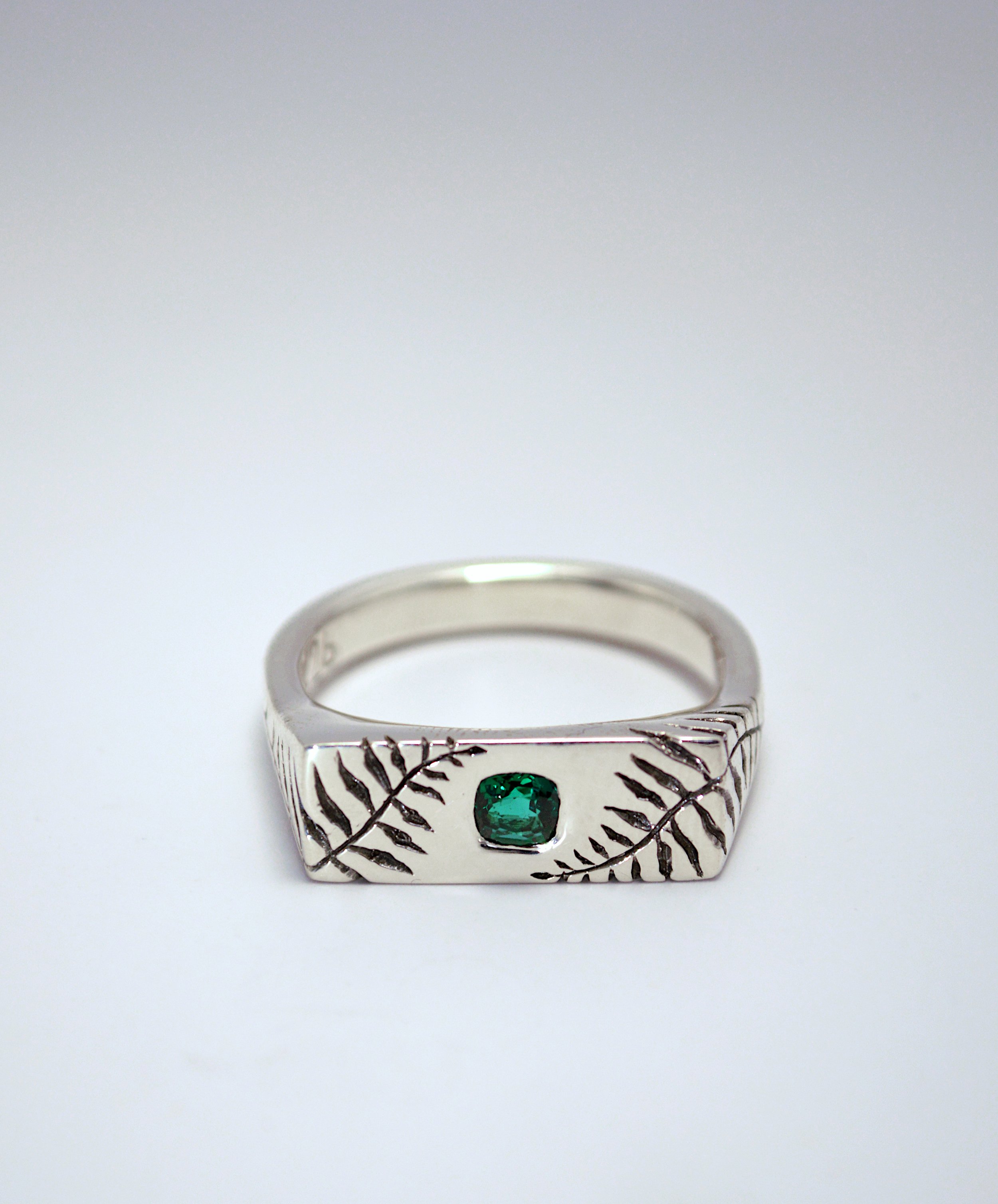 nicks ring.JPG