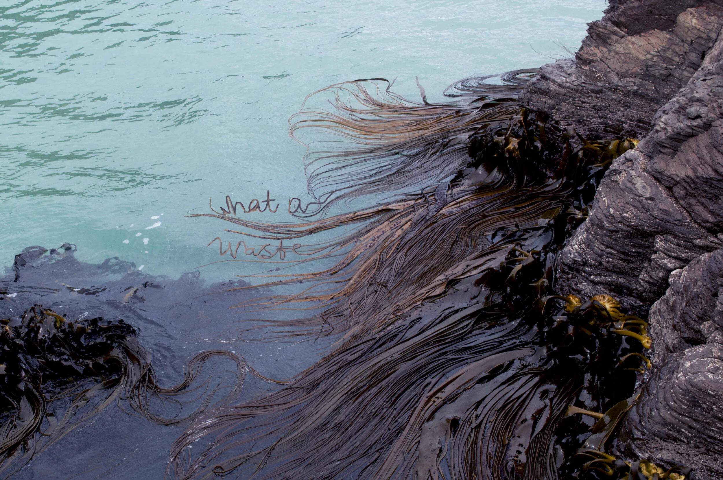 What a Waste//St Claire beach