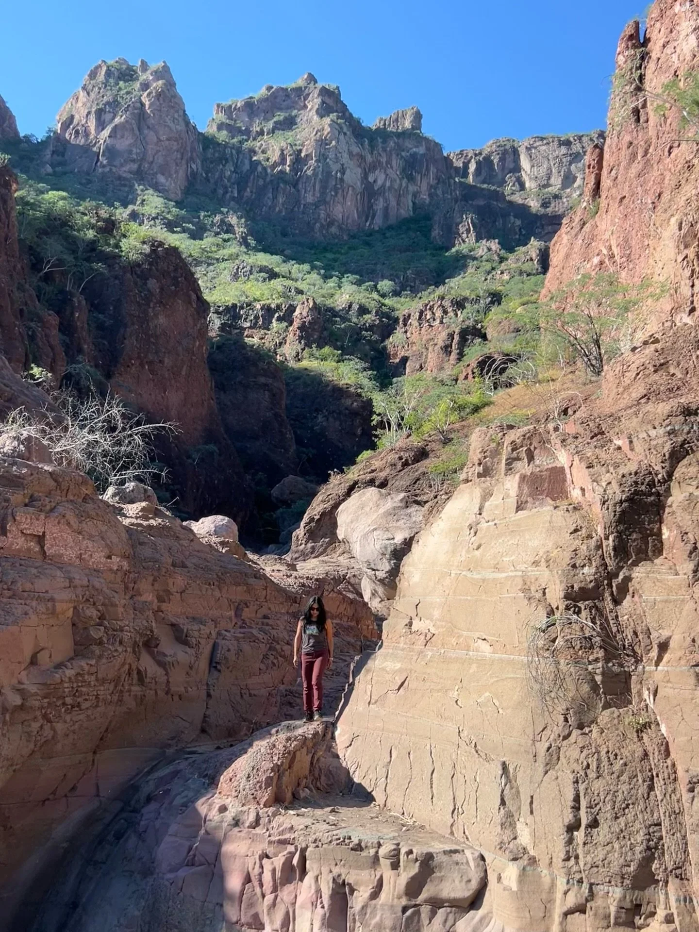 May your year be grand! @h5tolife