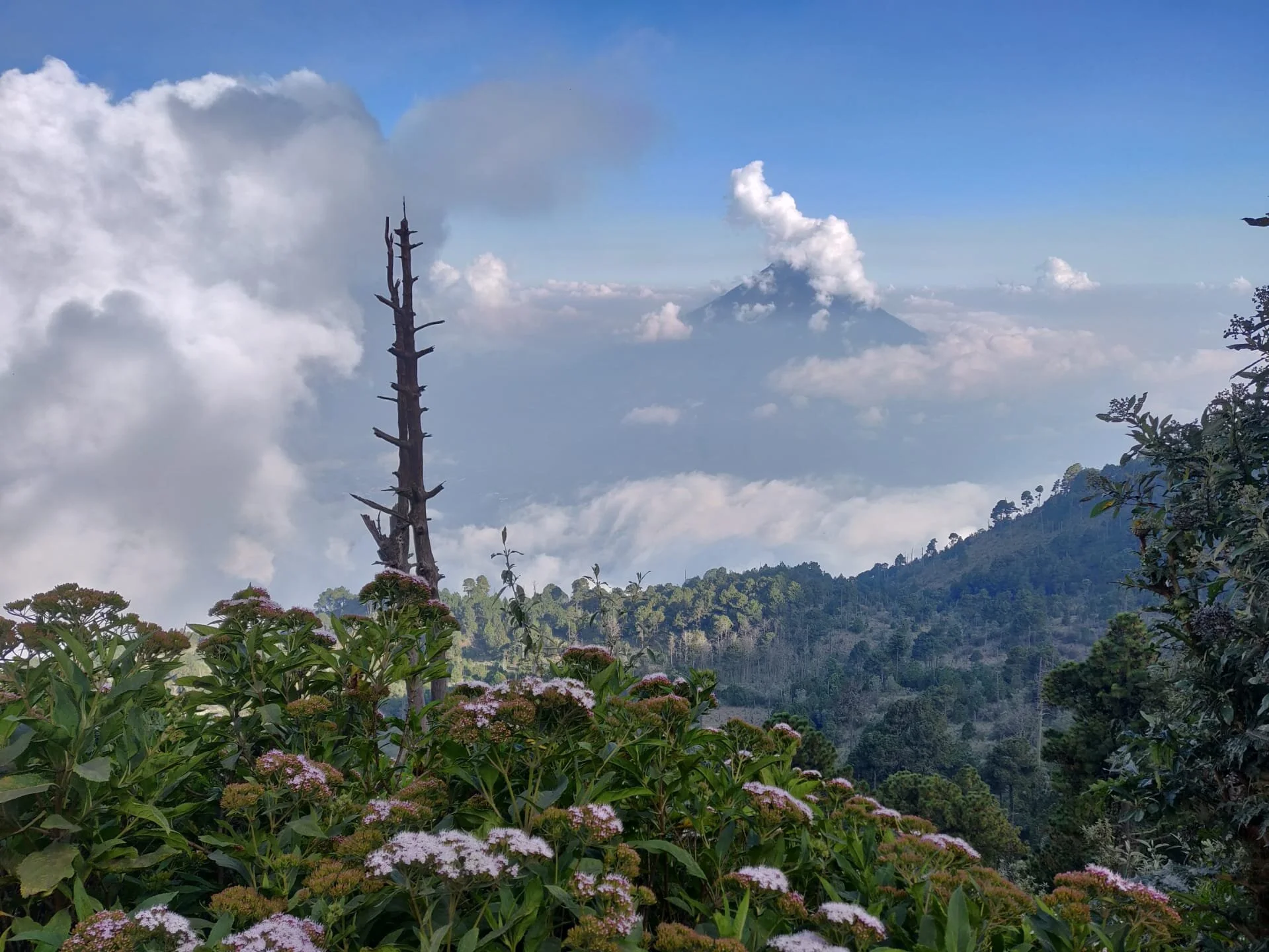 Vulkaan Acatenango