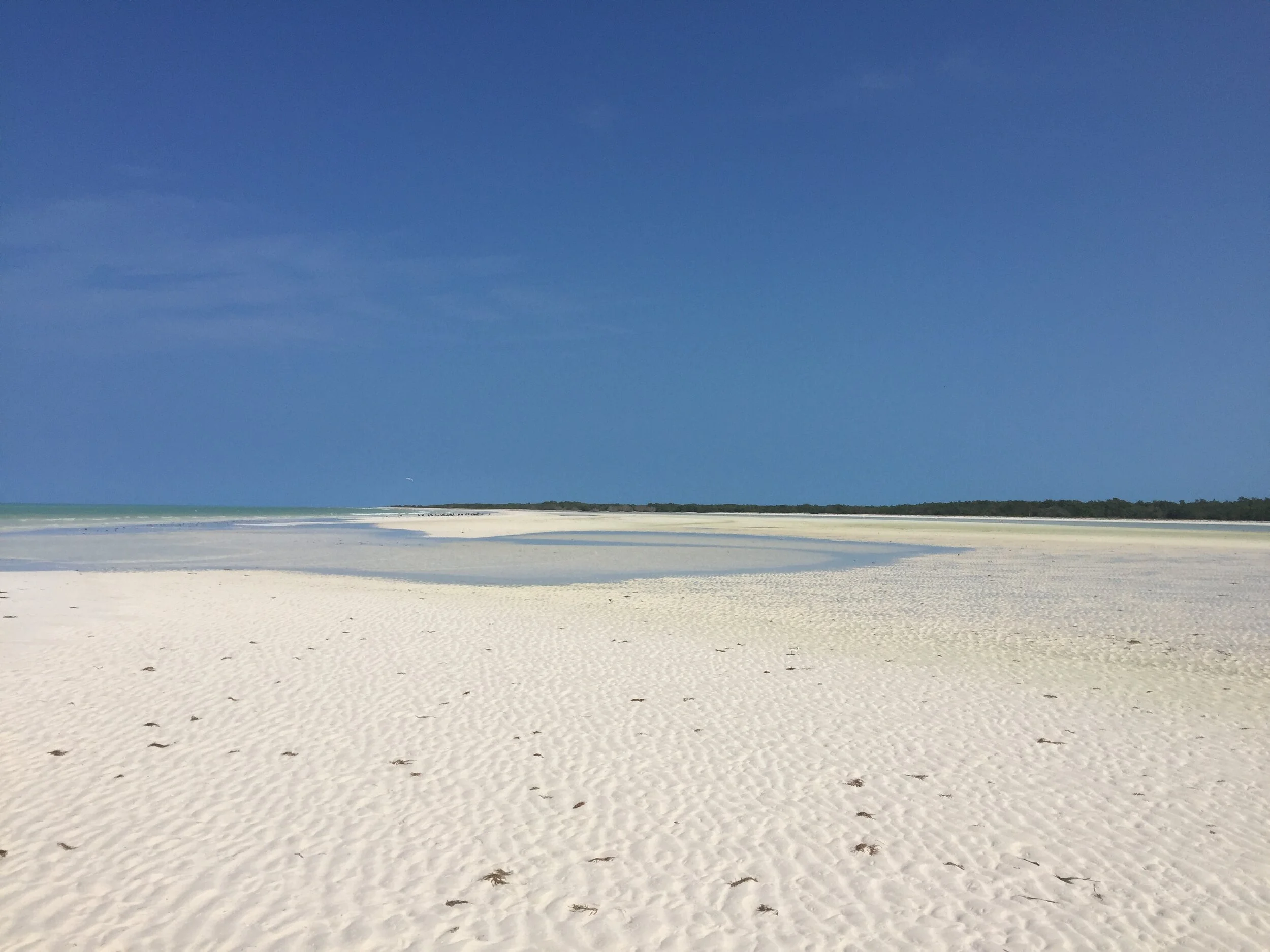Holbox Mexico