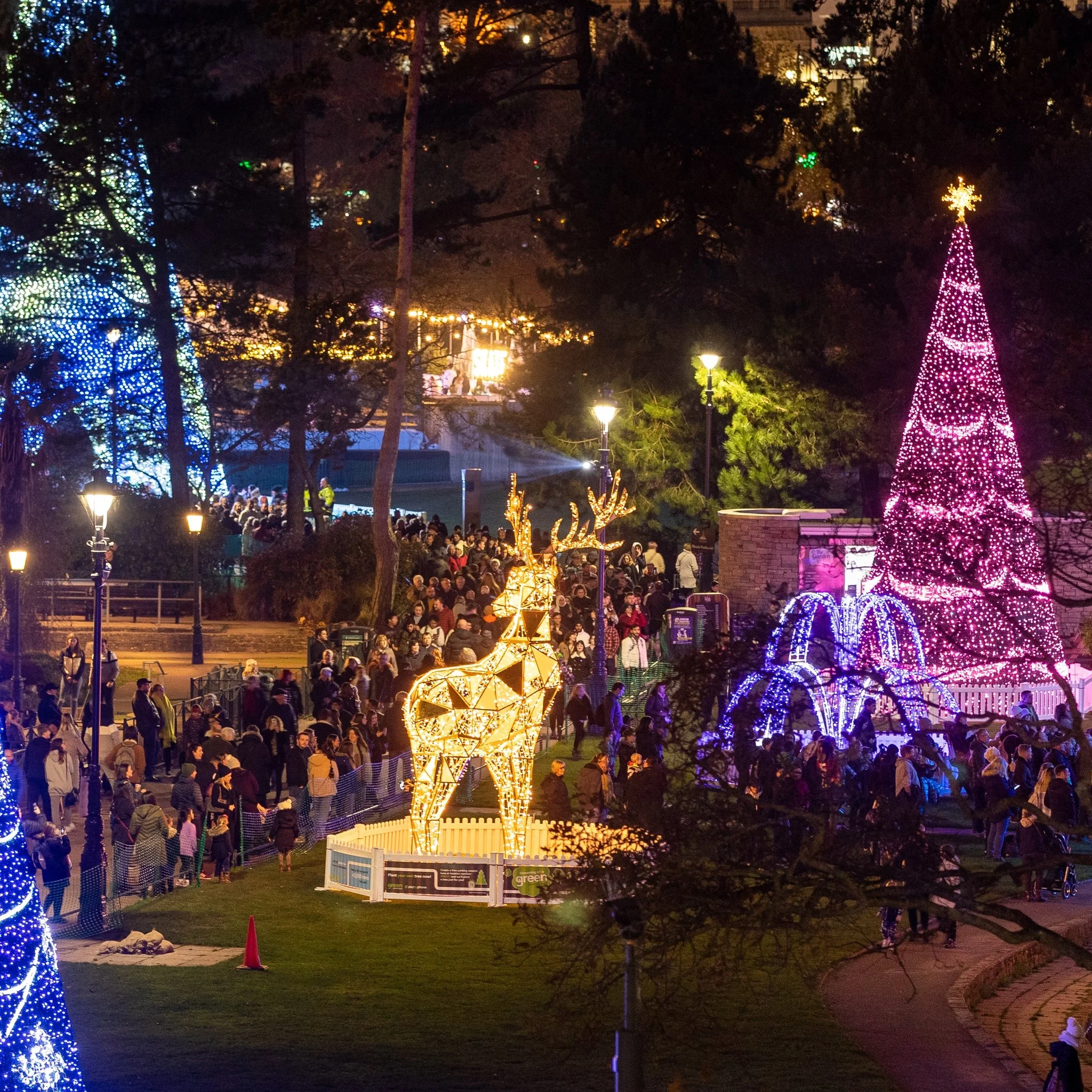 Nighttime scene of a Christmas festival with illuminated decorations, including a large pink Christmas tree, a yellow reindeer statue, and blue and white light displays, with a crowd of people walking and gathering.