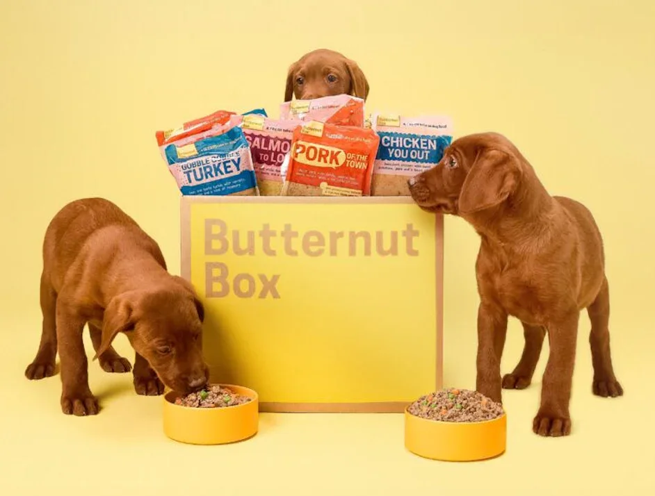Two puppies eating from yellow bowls in front of a yellow box labeled 'Butternut Box' filled with various dog food packets, with one puppy peeking over the box.
