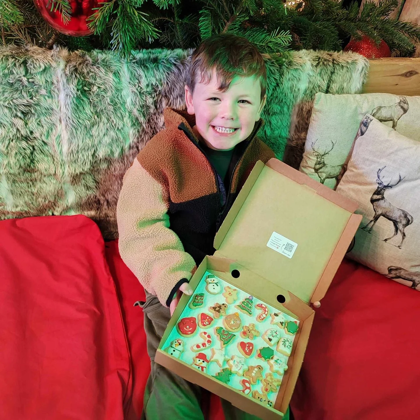 A young boy smiling cheerfully while sitting on a red couch in front of a decorated Christmas tree, holding an open box of decorated gingerbread cookies with holiday-themed shapes and icing, with Christmas-themed pillows behind him.
