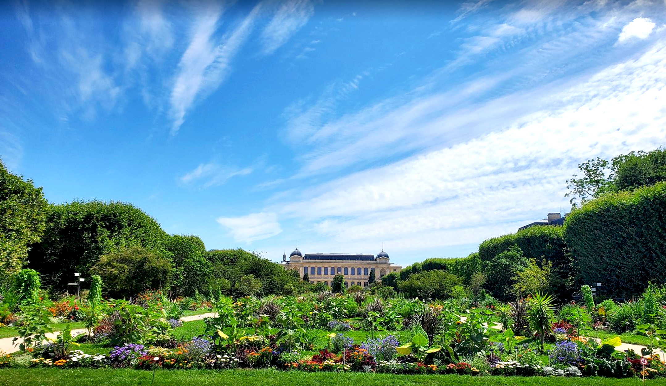 Cabinet de psychothérapie à côté du jardin des Plantes