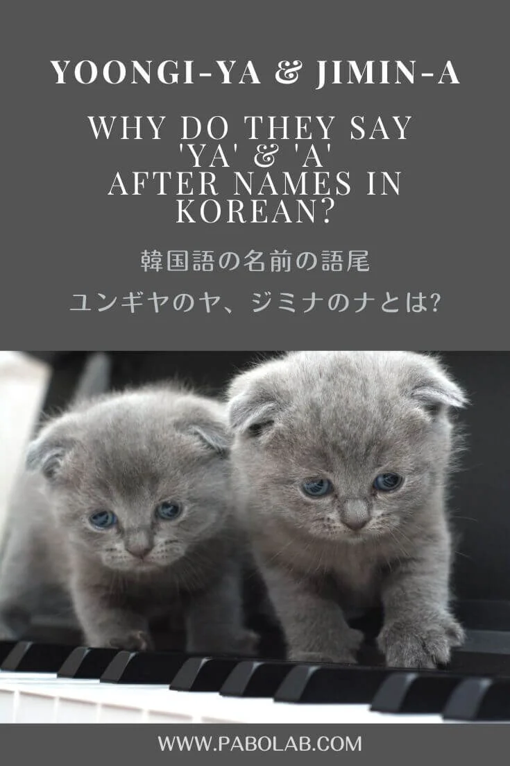 Yoongiya Jimina Why Do They Say Ya Or A After Names In Korean ユンギヤ ジミナ 韓国語の名前の語尾について Yoongiya Jimina Why Do They Say Ya Or A After Names In Korean ユンギヤ ジミナ 韓国語の名前の語尾について