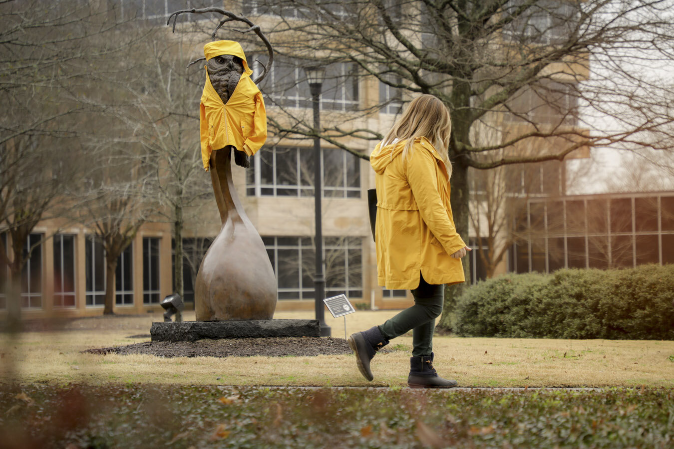 022119RAIN_OWL111_RCW.jpg