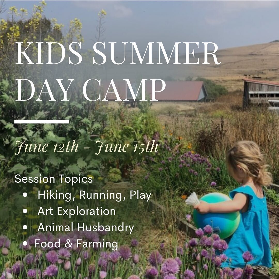 Monday June 12th - Thursday June 15th | 9AM - 3PM

Day Camp | Ages (7-11)

Come explore our 160-acre goat and sheep dairy and educational farm in Marin County! Just a few miles from the Pacific Coast, on the ancestral homeland of the Coast Miwok. Cam