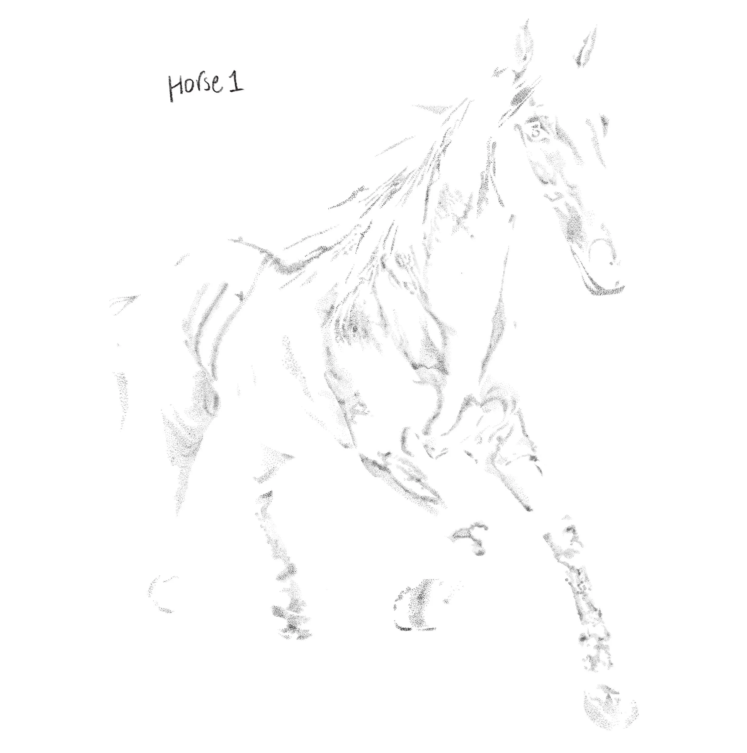 IMG_6606.jpeg