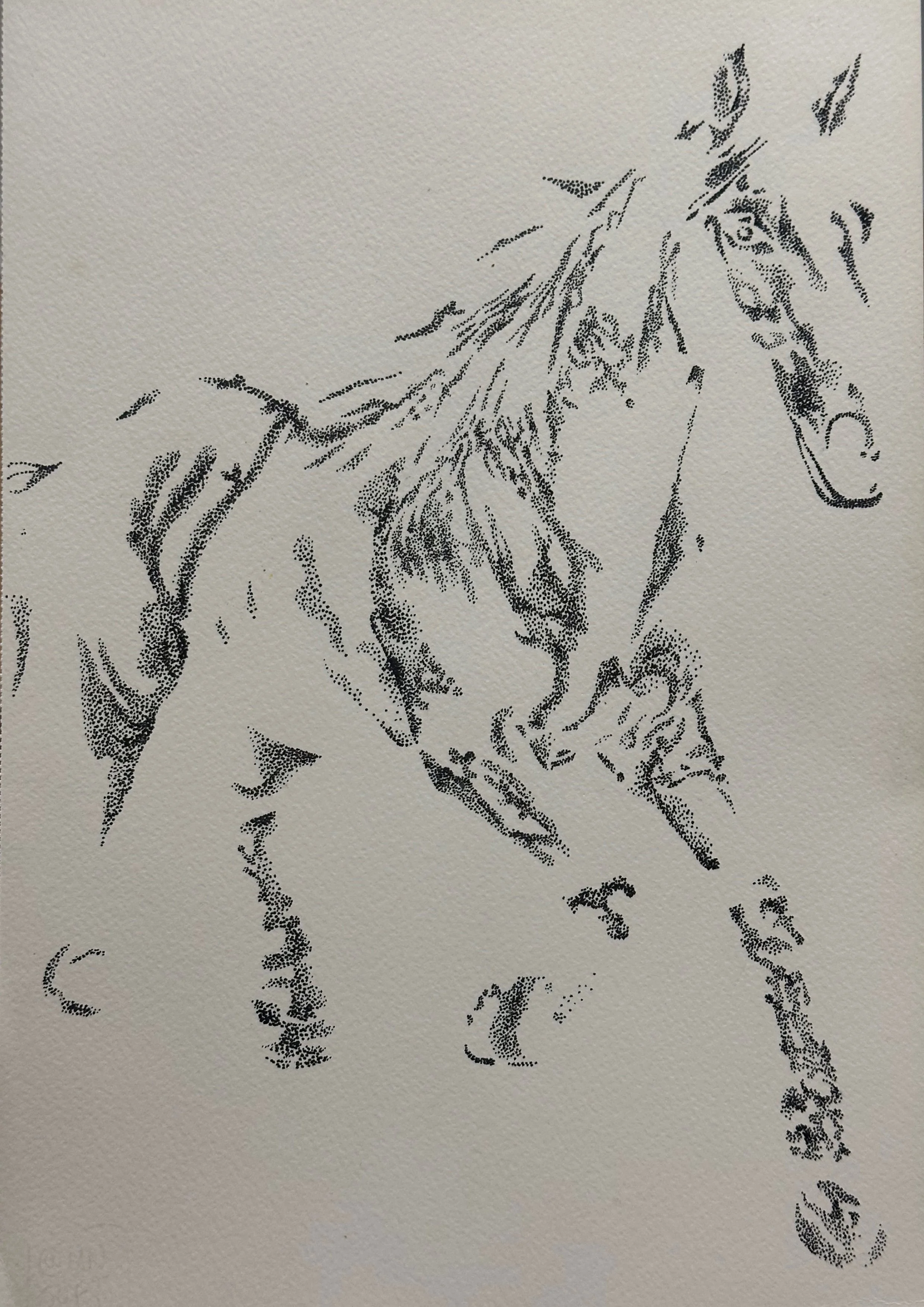 Untitled_Artwork 1.jpg