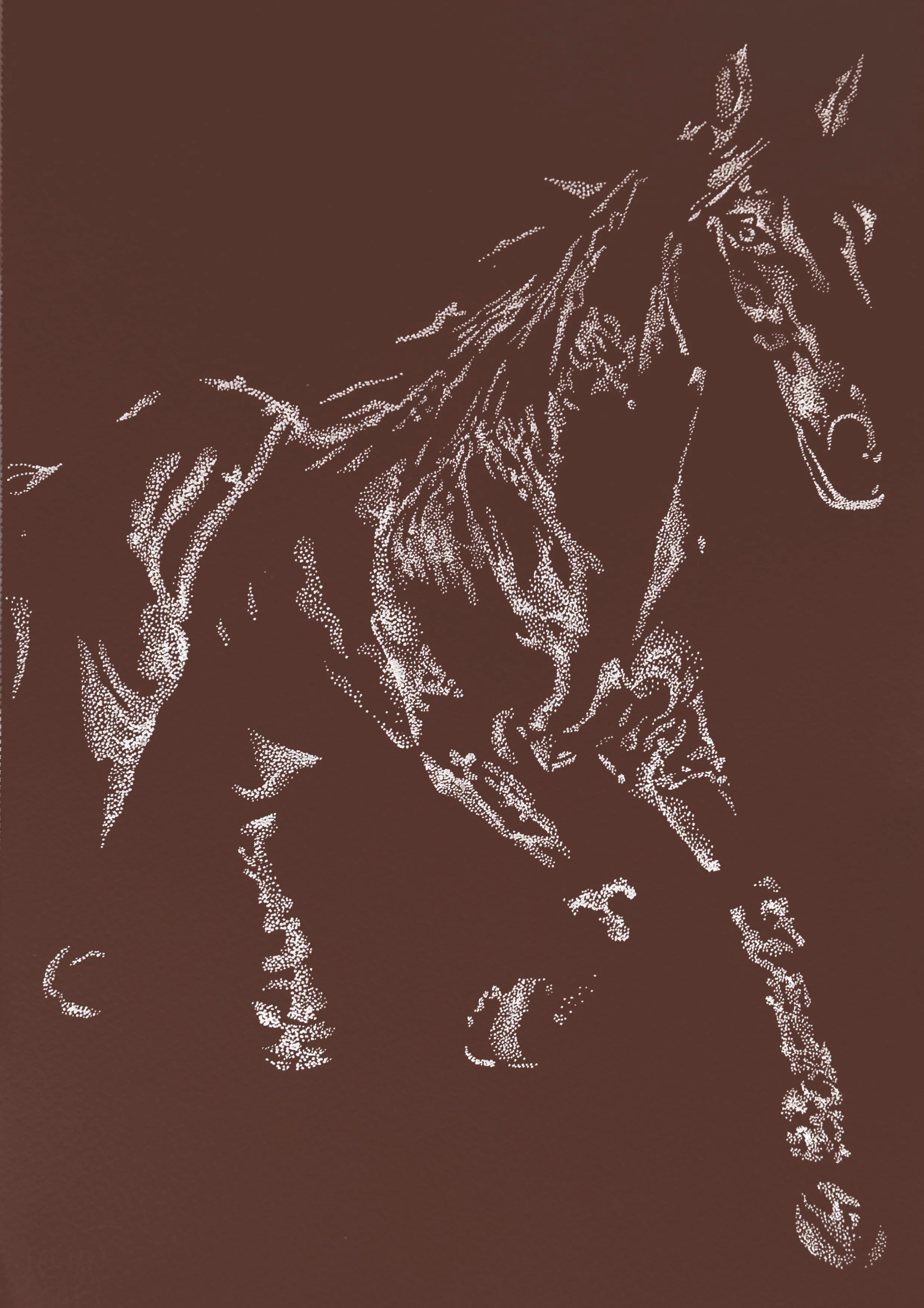 Untitled_Artwork 8.jpg