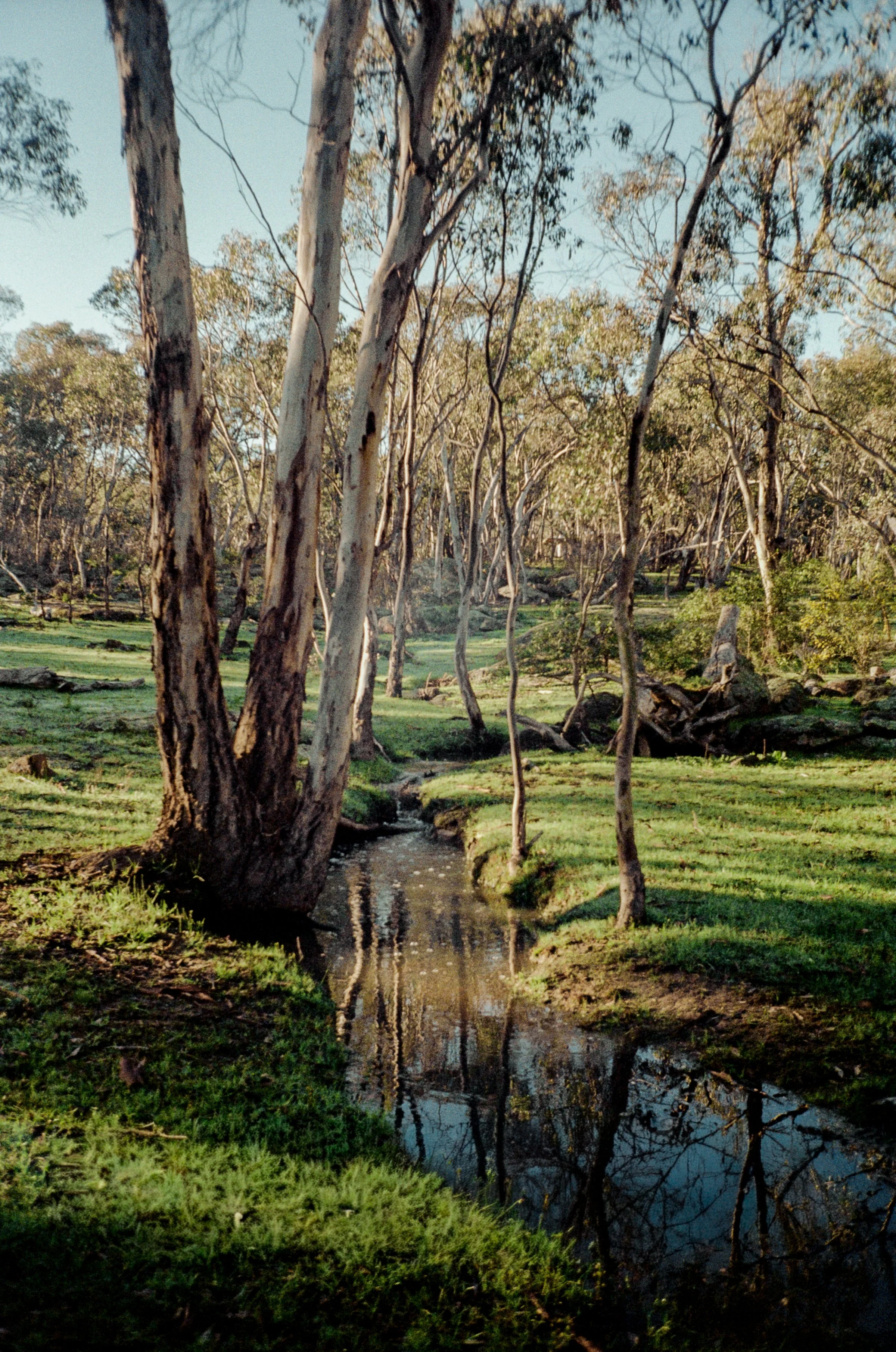 River 2 .jpg