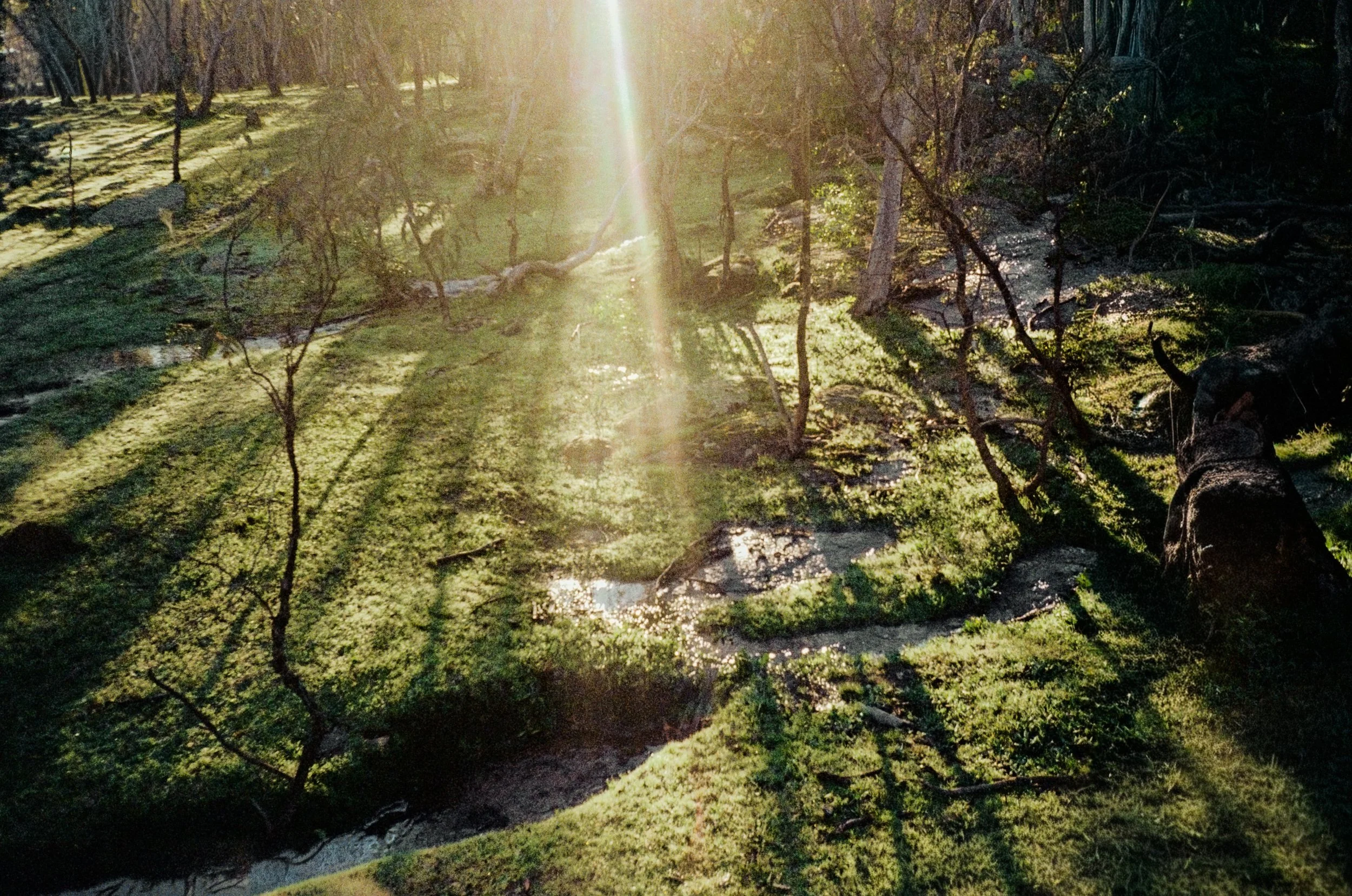 Morning light edit .jpg