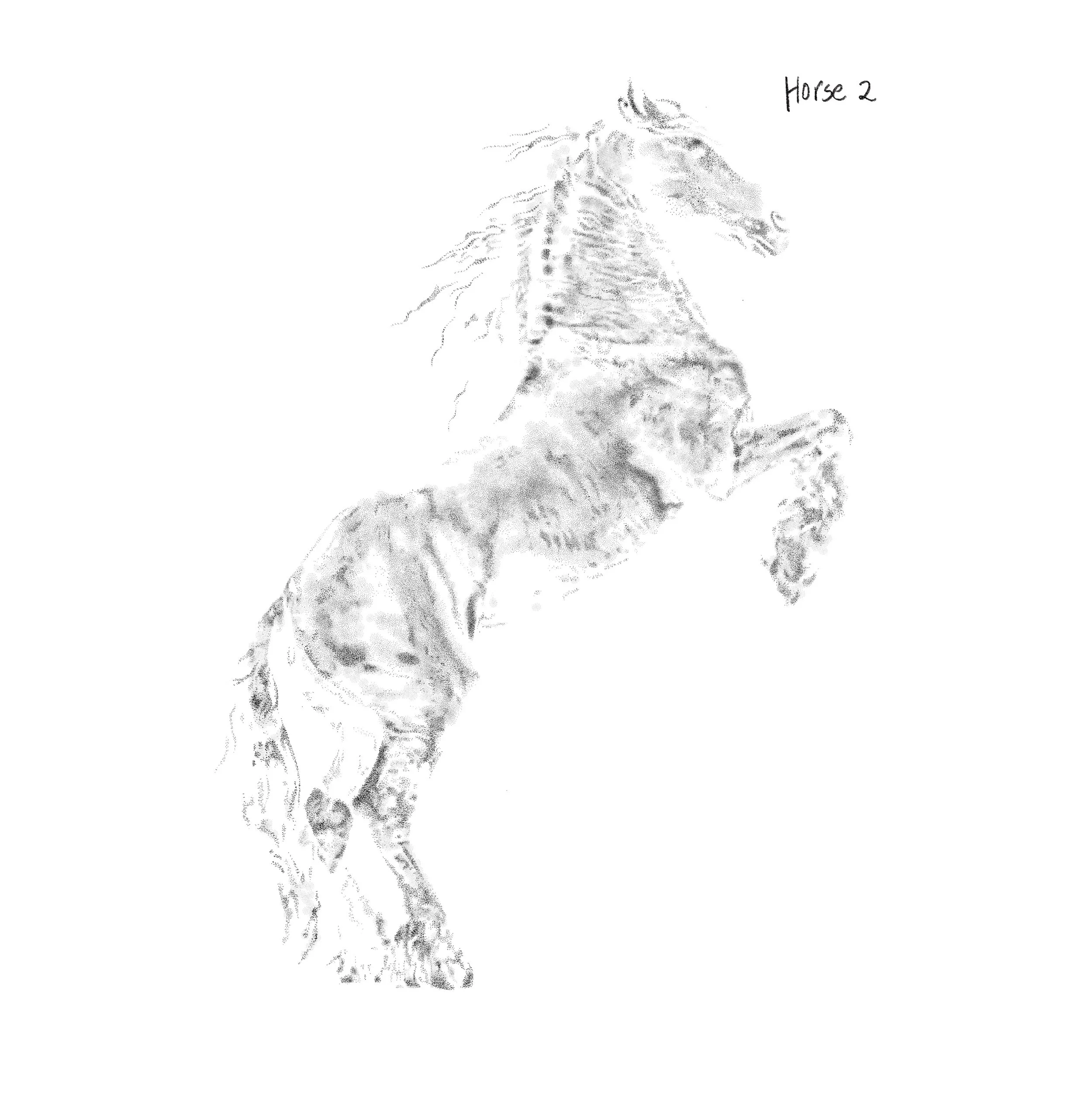 IMG_6605.jpeg