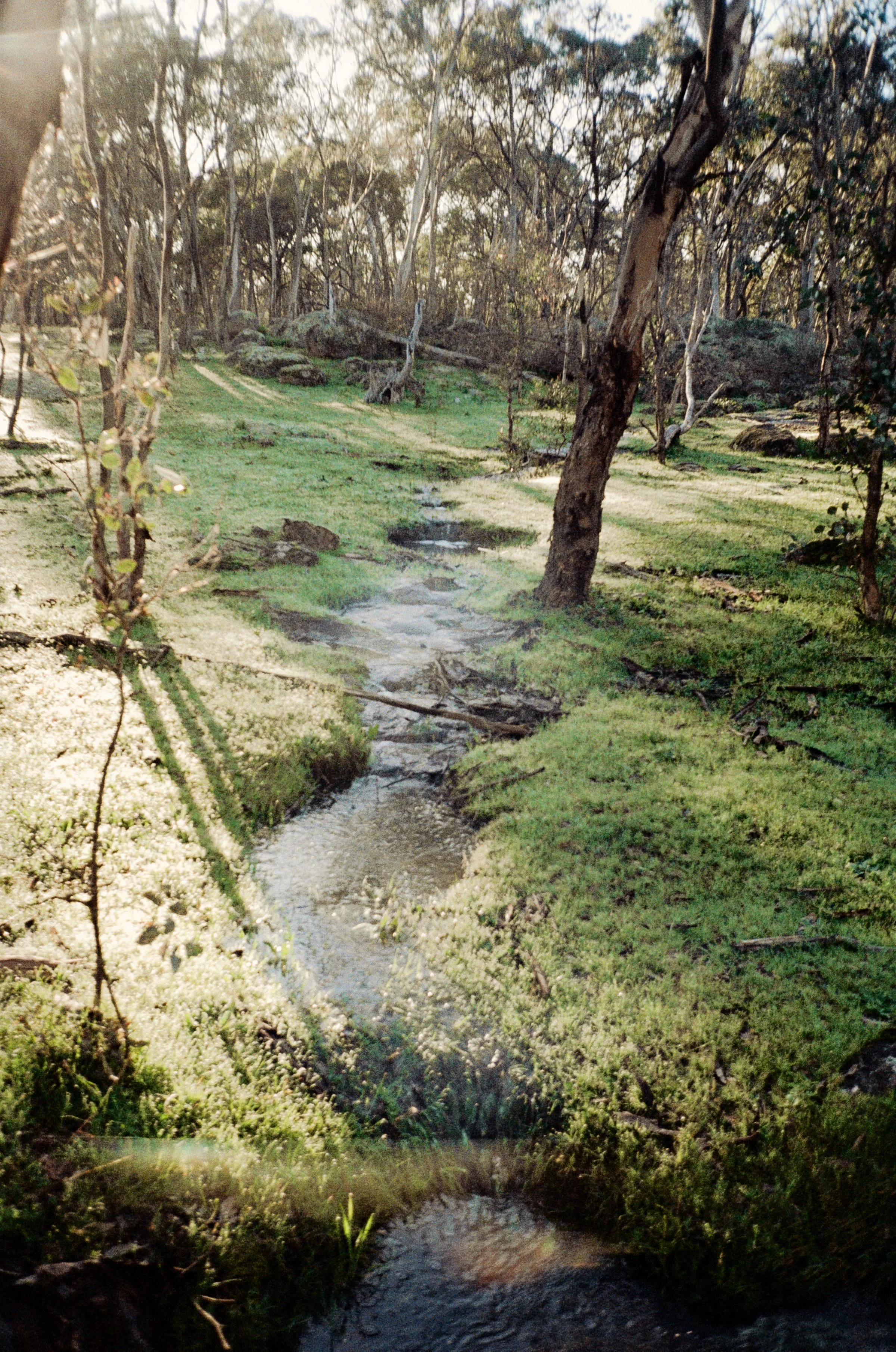 Heather_Egan_021088880025_C.jpg