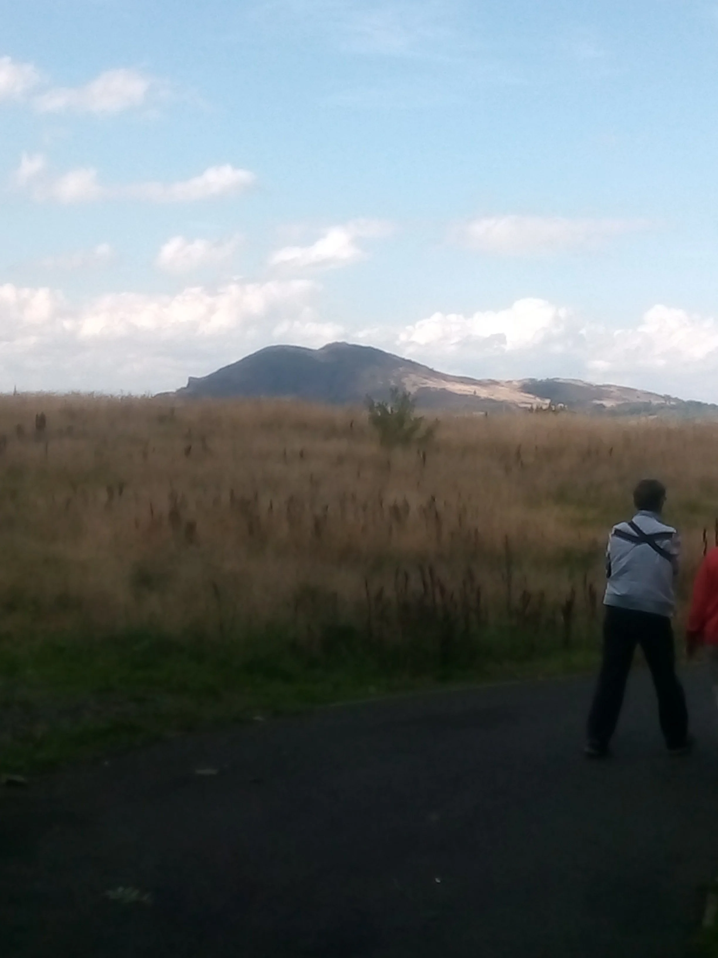 Danderhall Walking Group.jpg