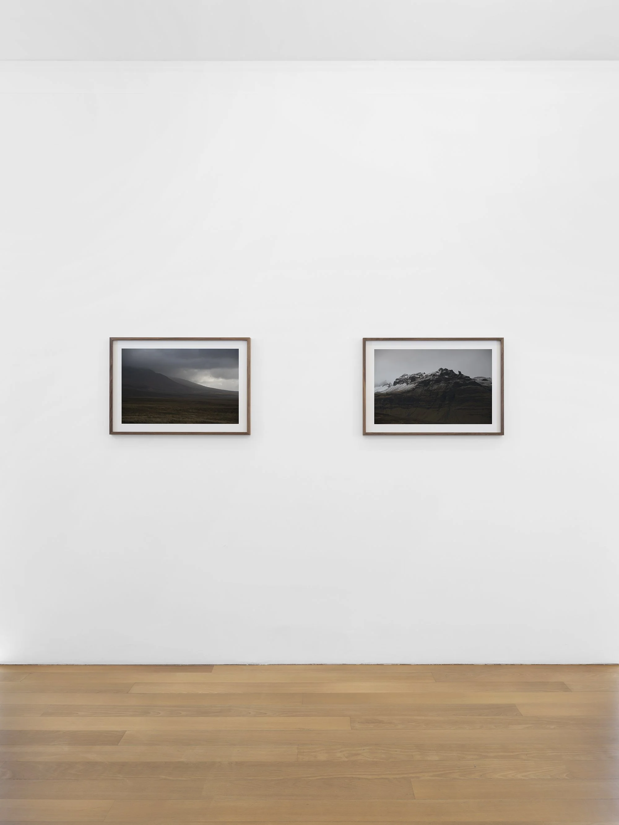 Solo Exhibition - 'Among Giants' 2022, Xippas Gallery. Geneva, Switzerland.