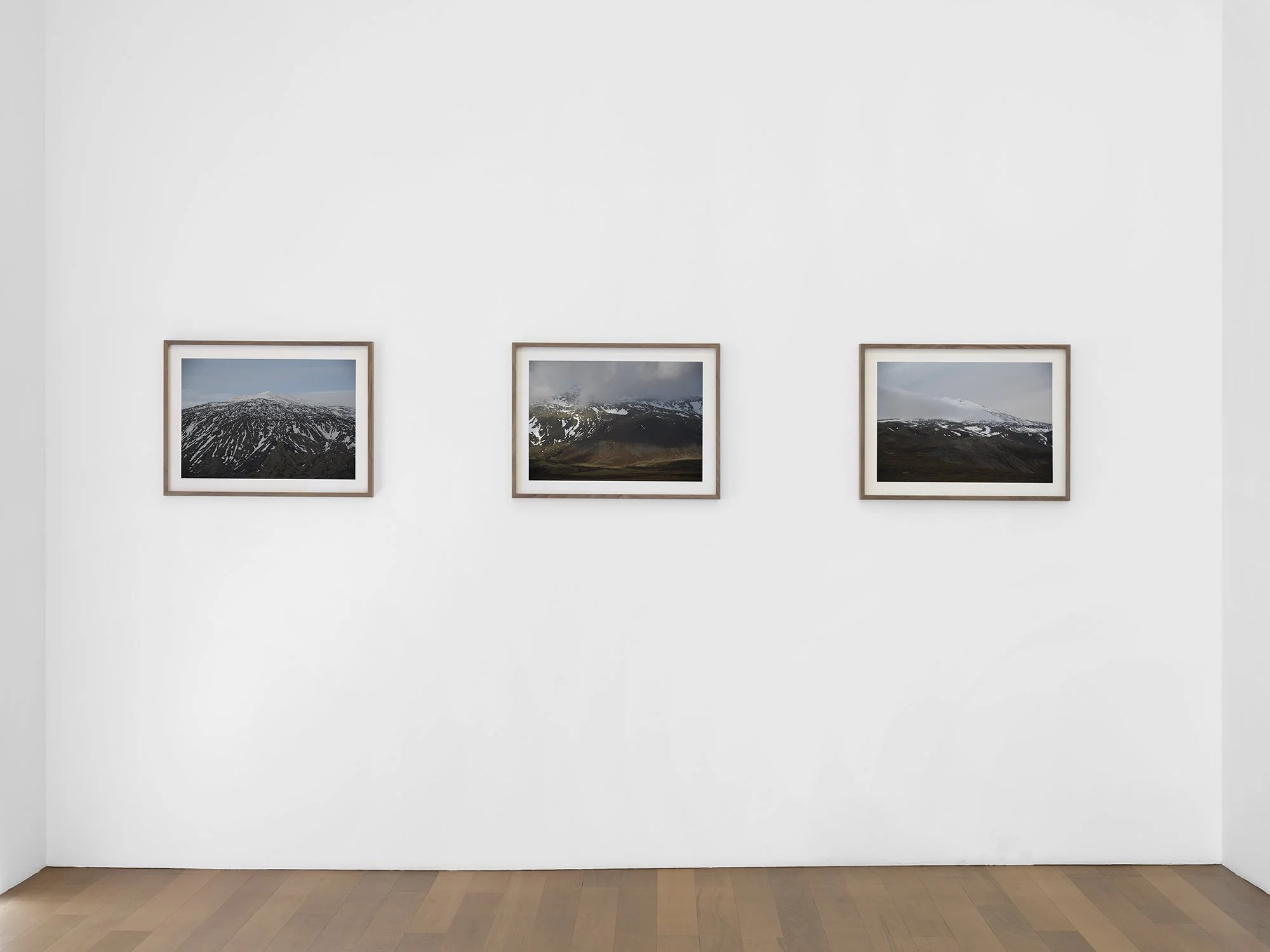 Solo Exhibition - 'Among Giants' 2022, Xippas Gallery. Geneva, Switzerland.