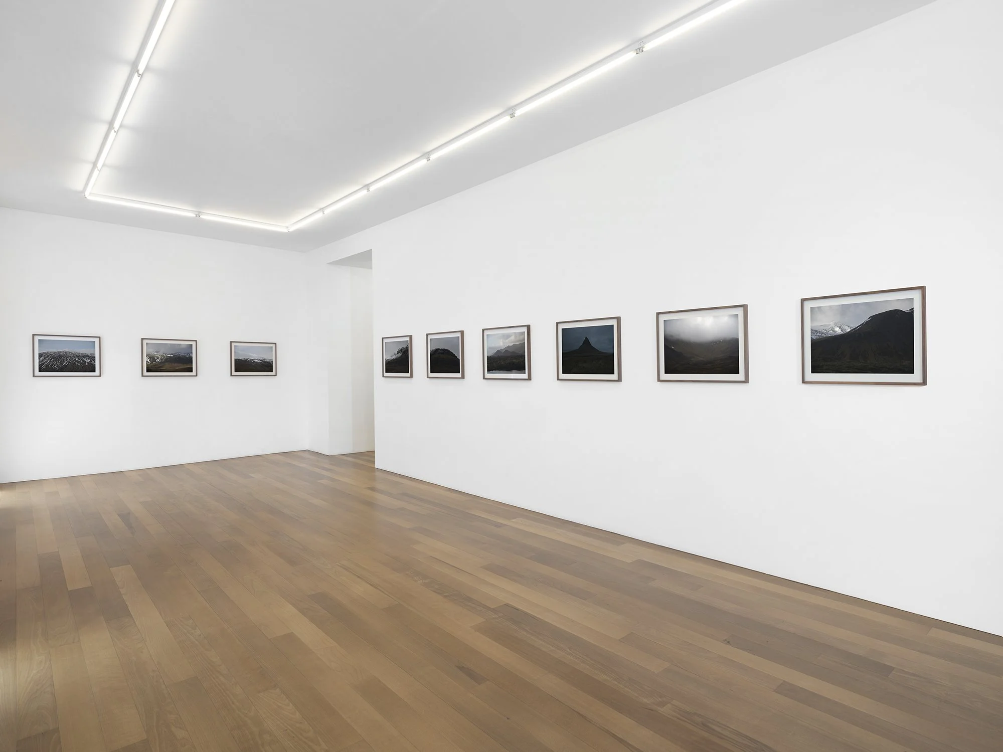 Solo Exhibition - 'Among Giants' 2022, Xippas Gallery. Geneva, Switzerland.