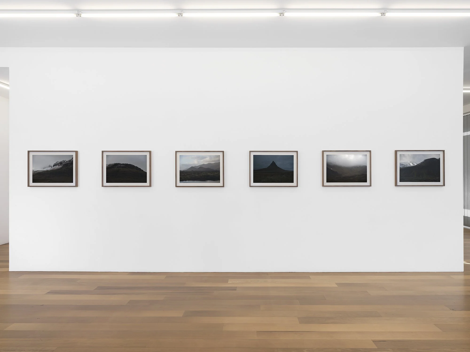 Solo Exhibition - 'Among Giants' 2022, Xippas Gallery. Geneva, Switzerland.