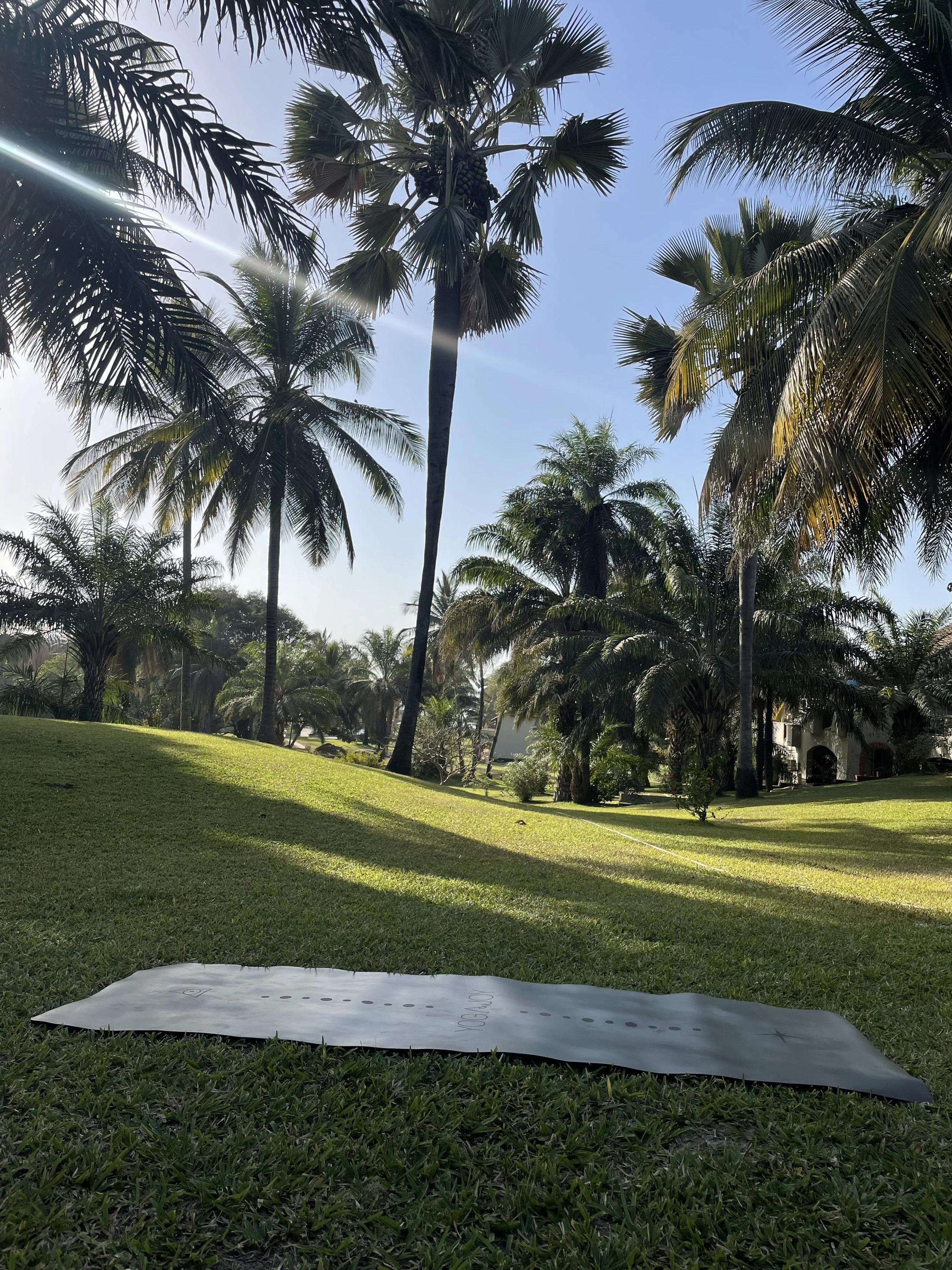 A grassy park with tall palm trees under a bright blue sky, a white yoga mat with black markings lying on the grass in the foreground.