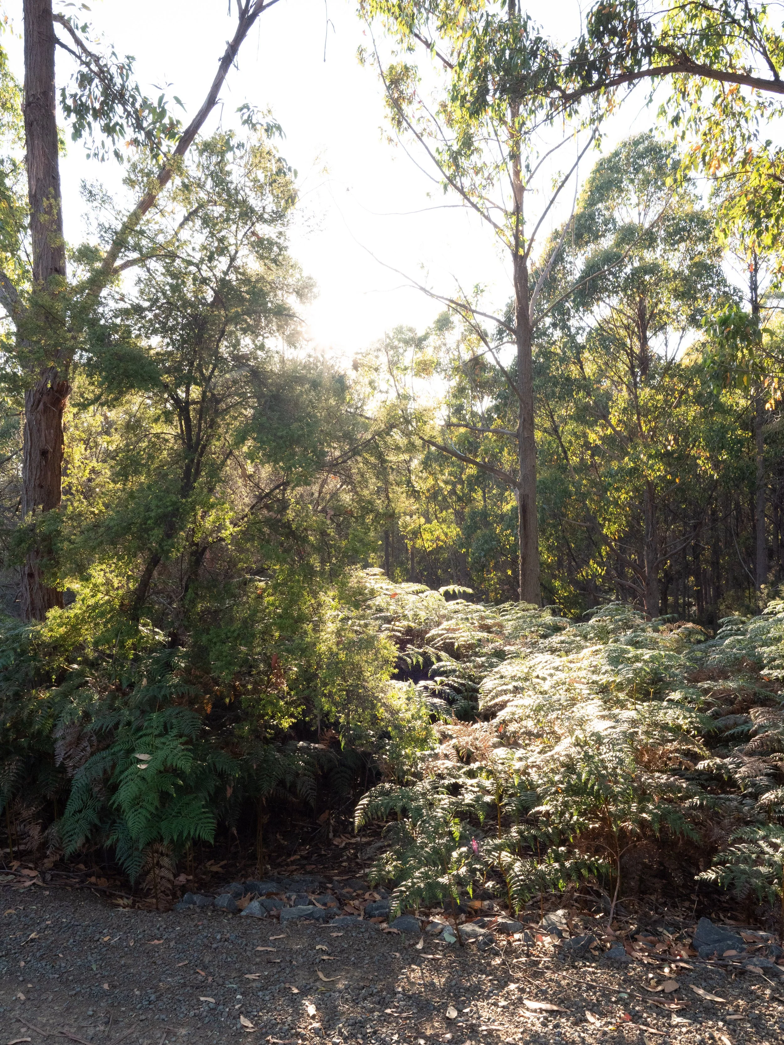The Hunter Huon Valley_LR-22.jpg