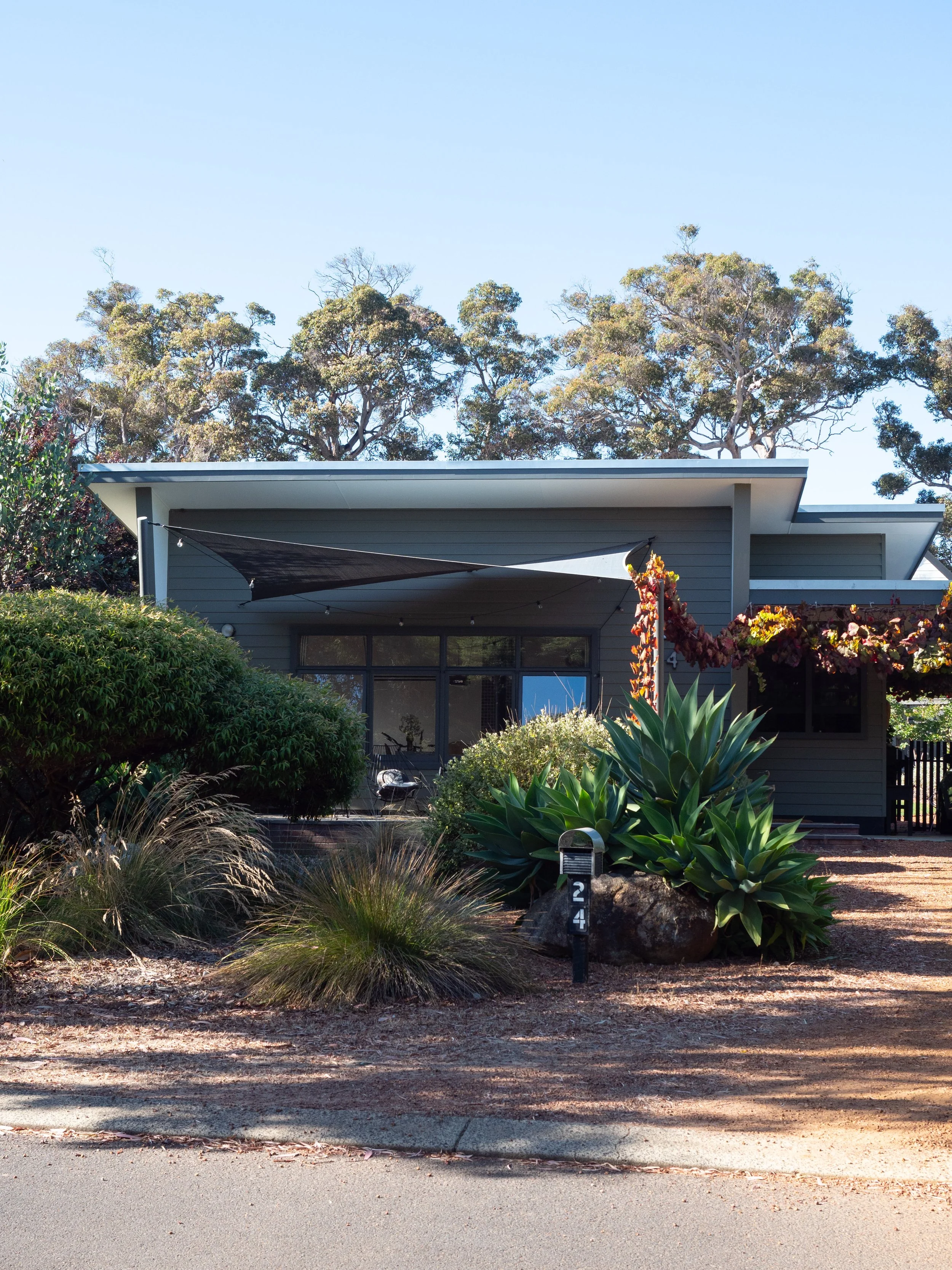 Casa Honey CLR-1.jpg