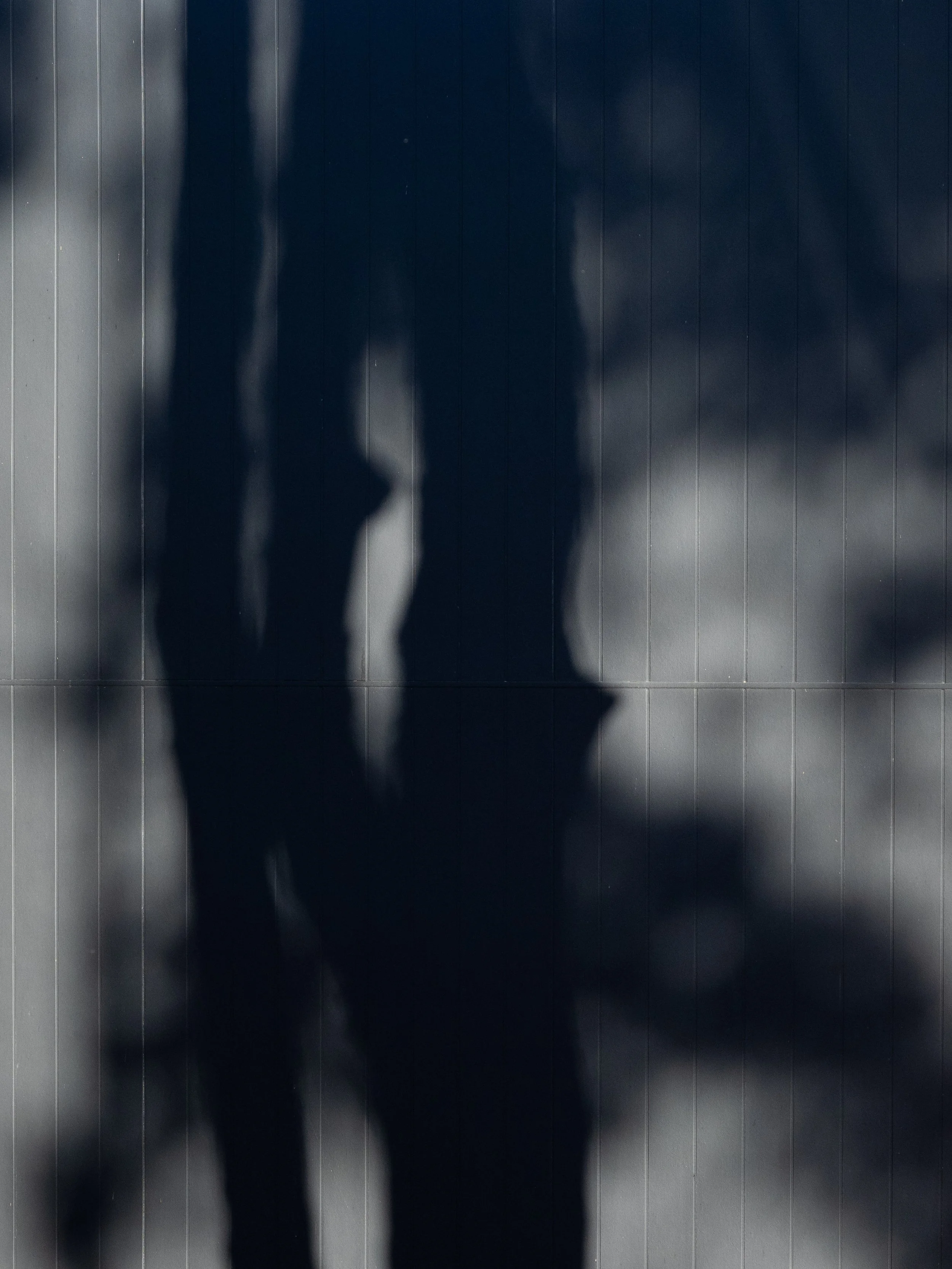 The Hunter Huon Valley_LR-20.jpg