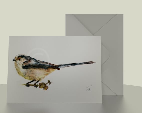 https://i.etsystatic.com/13705460/r/il/9fd64b/1523769805/il_570xN.1523769805_egkg.jpg