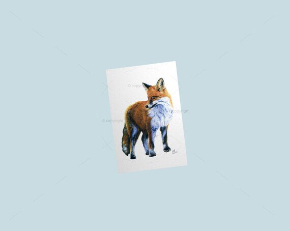 https://i.etsystatic.com/13705460/r/il/bdf5fb/1947621626/il_570xN.1947621626_t8cx.jpg