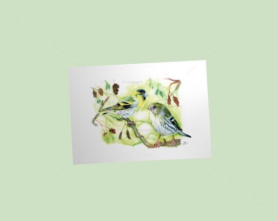 https://i.etsystatic.com/13705460/r/il/e948b1/2131893984/il_570xN.2131893984_8o1w.jpg