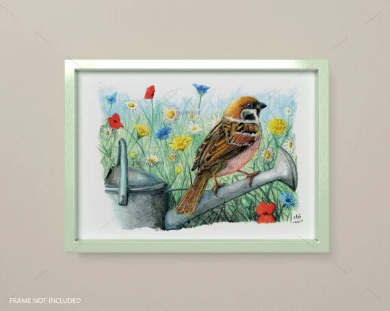Tree Sparrow Art Print. From My Watercolour Pencil Drawing Of Tree Sparrow On Watering Can. British Garden Birds. — Uk Artist Official Store For Martin Balmer