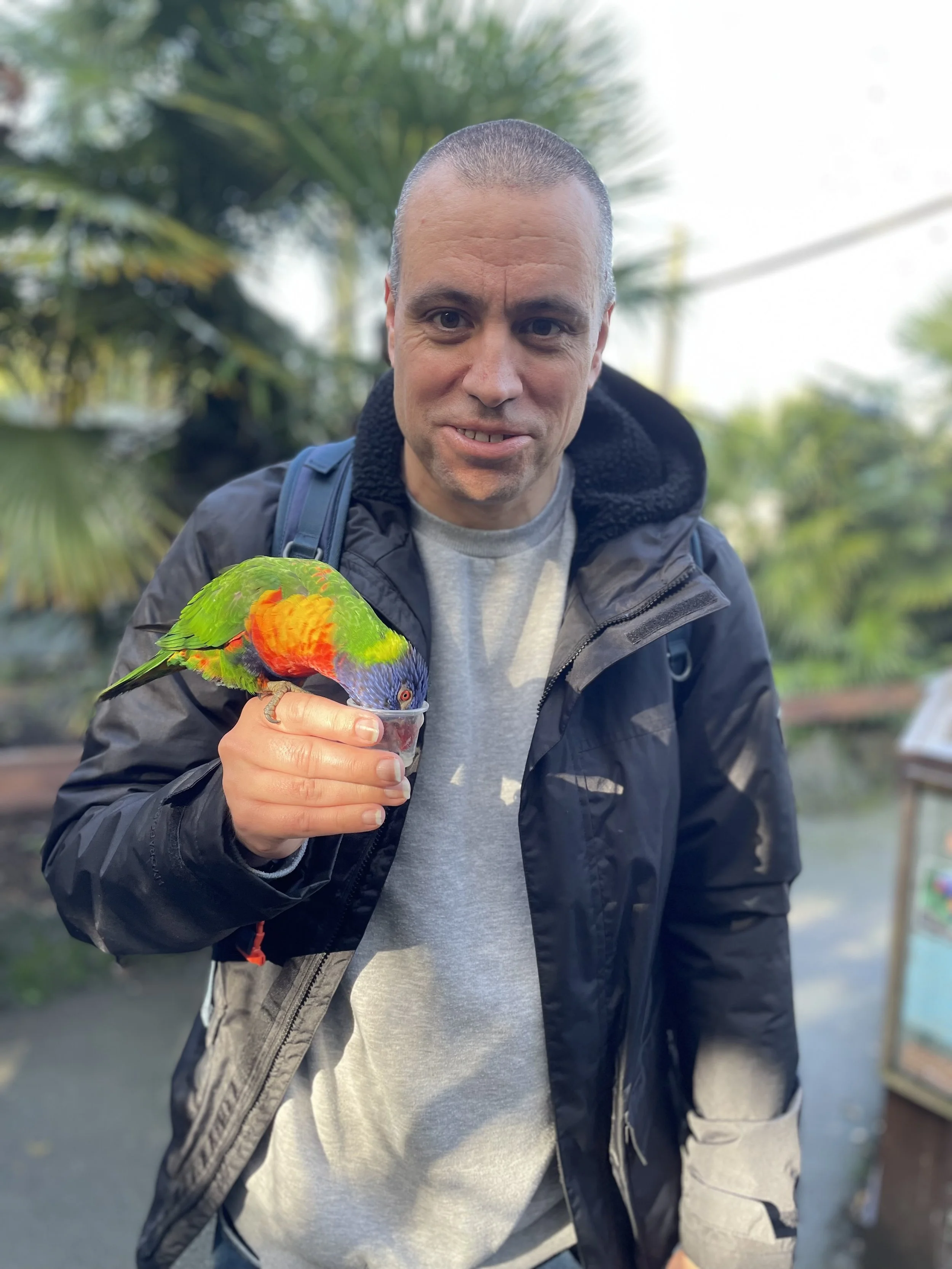 Martin Balmer with Rainbow Lorikeet bird feeding