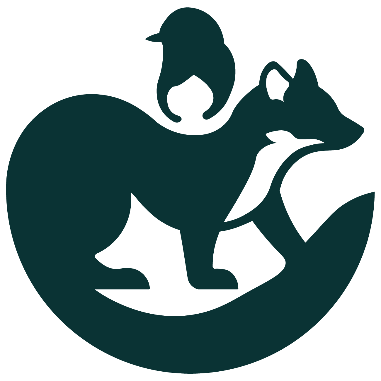 Artist Martin Balmer, birds and animals in watercolour pencils