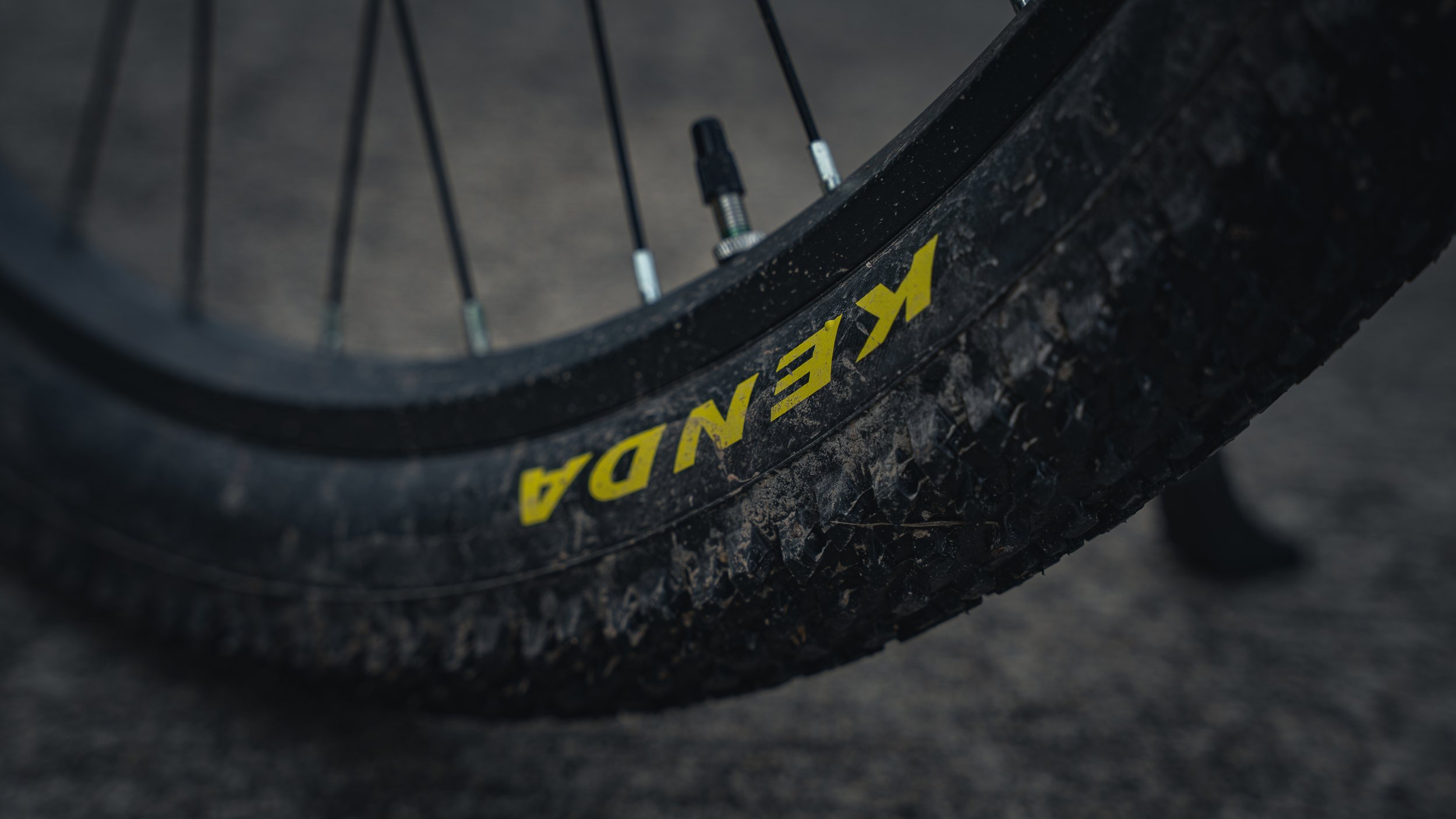 Kenda bike tires on Walmart's budget full suspension mountain bike.