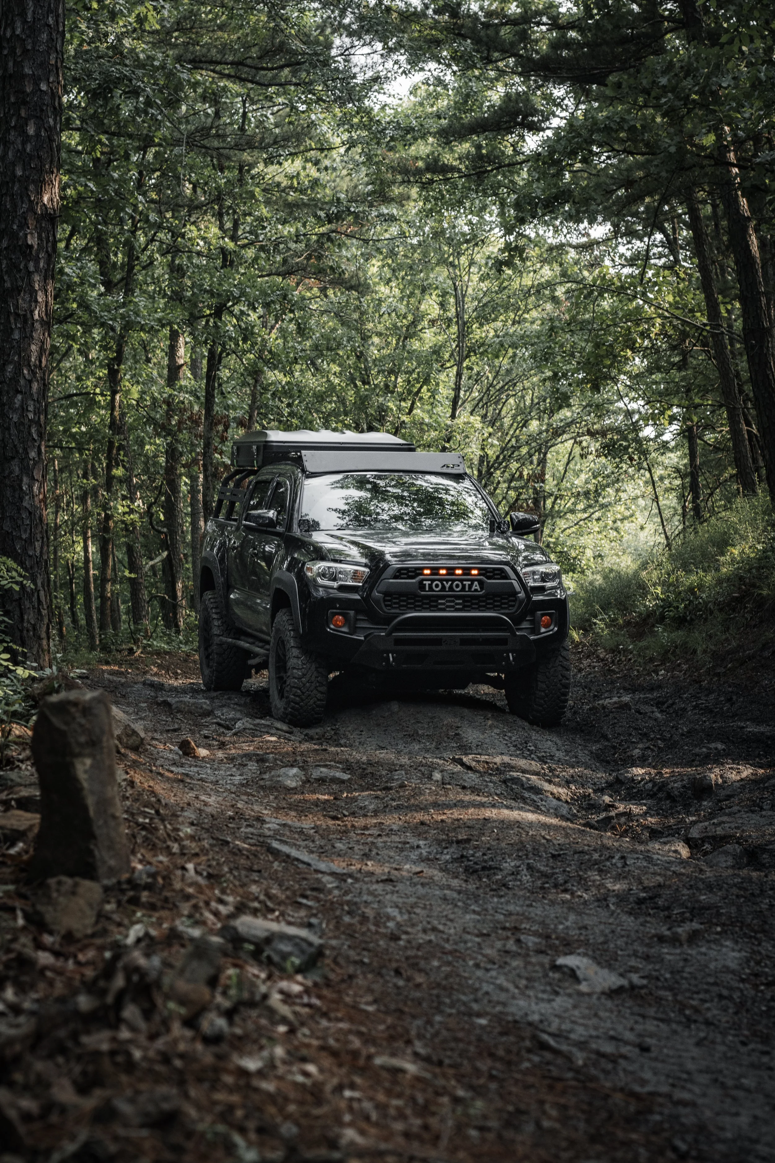A black Toyota Tacoma on a rocky trail in a dense green forest with a rooftop tent and bed rack.