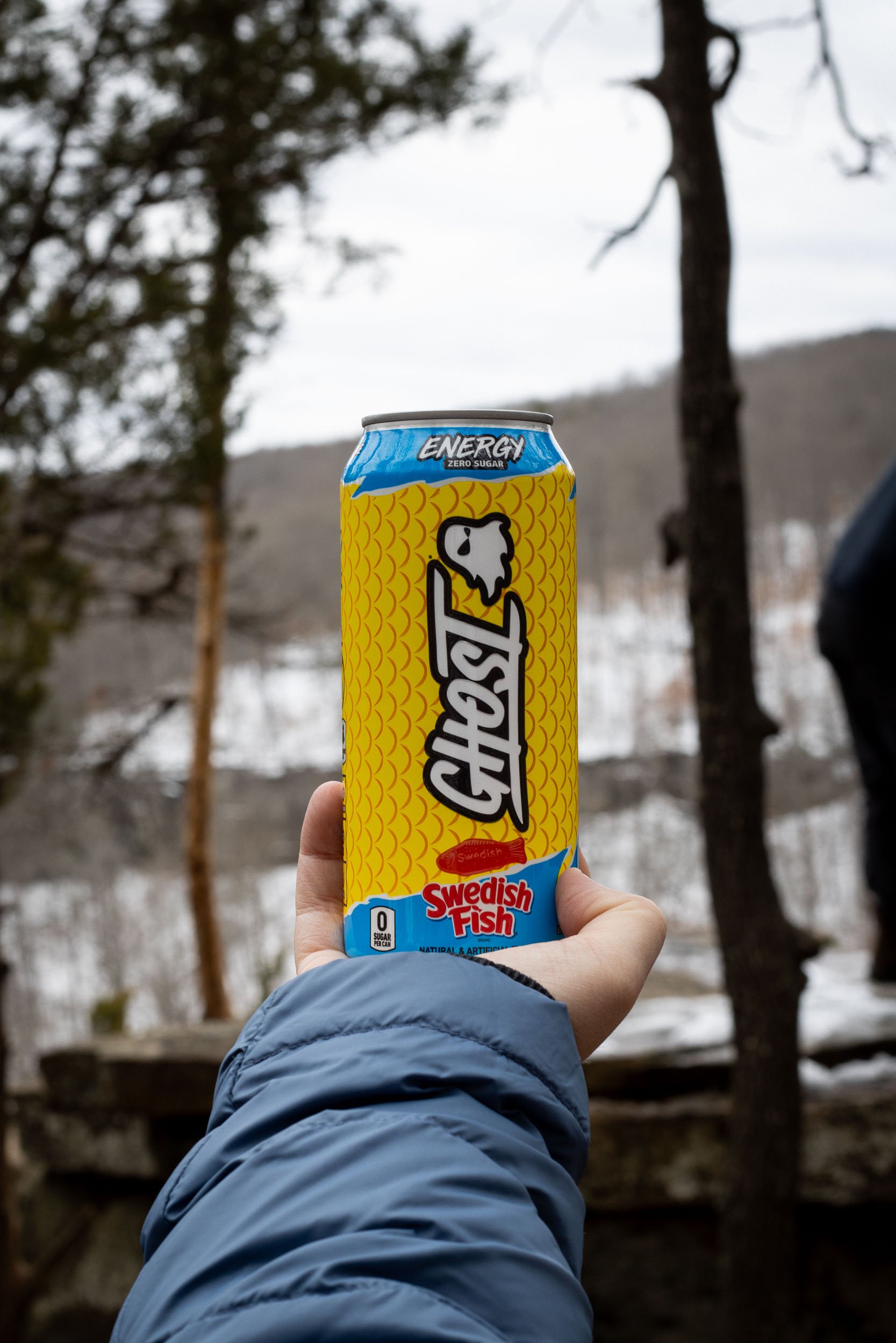 Ghost Swedish Fish in the woods on a snowy day photographed on T7 rebel.