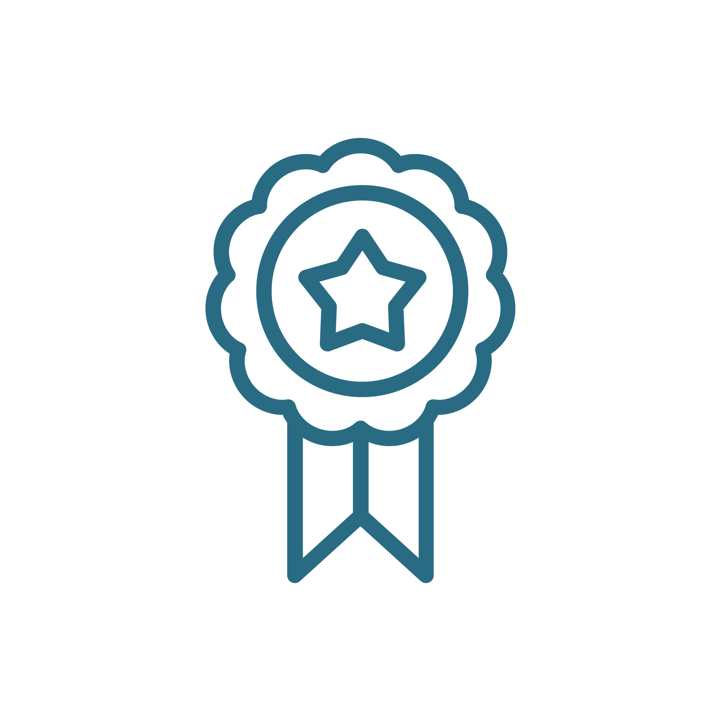 Blue award ribbon icon with star