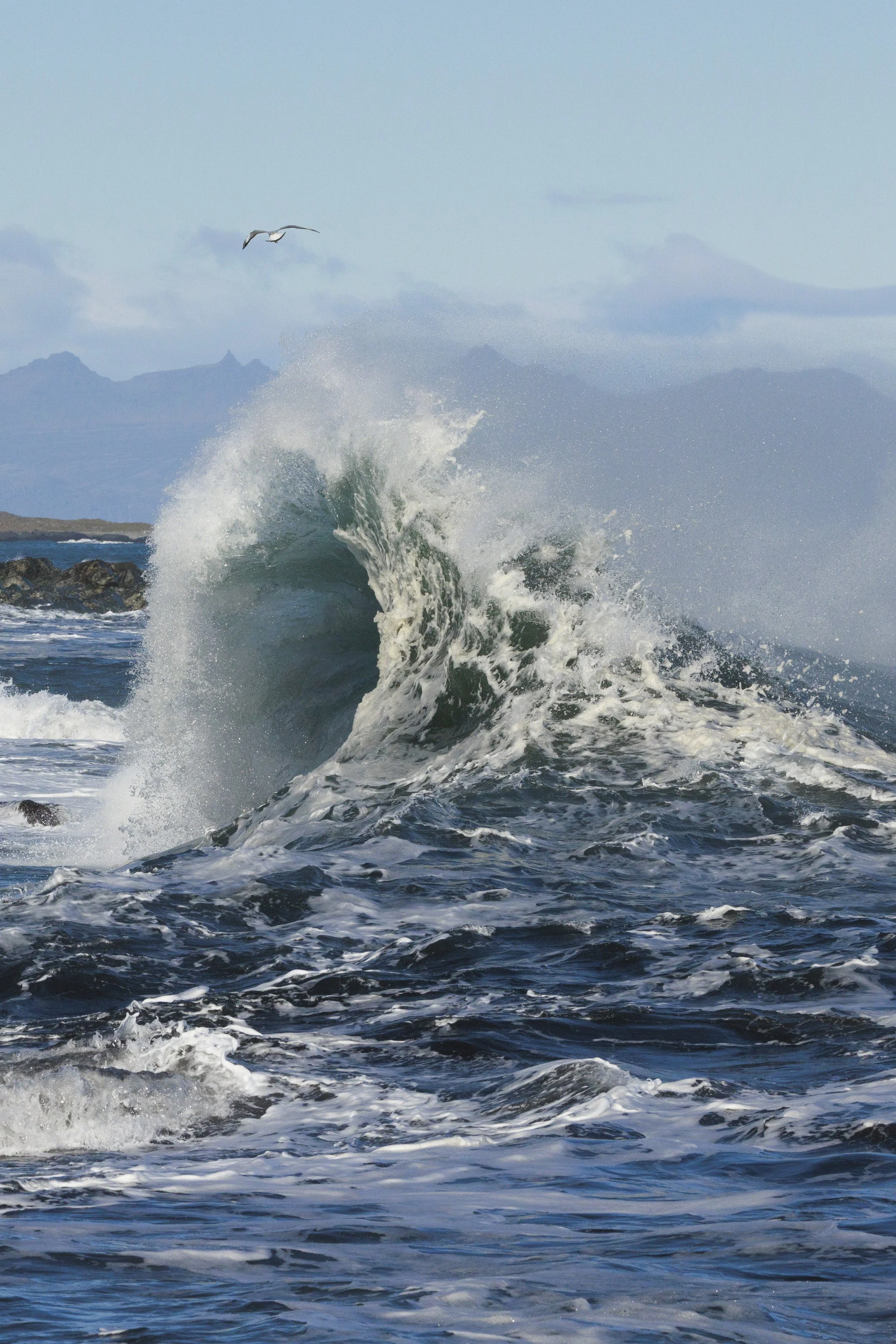 Hvalnes-waves-3.jpg