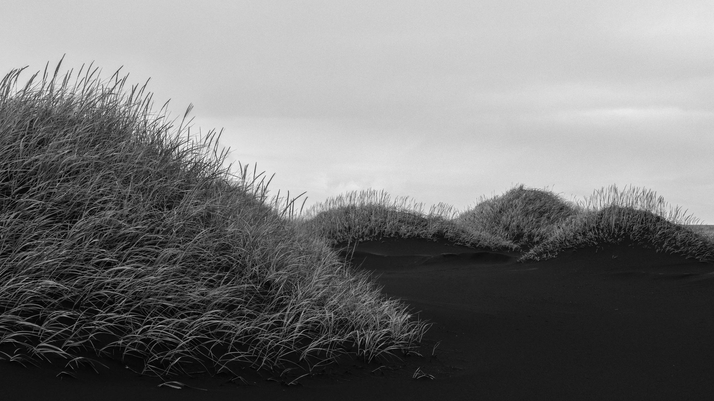 Hold Fast II