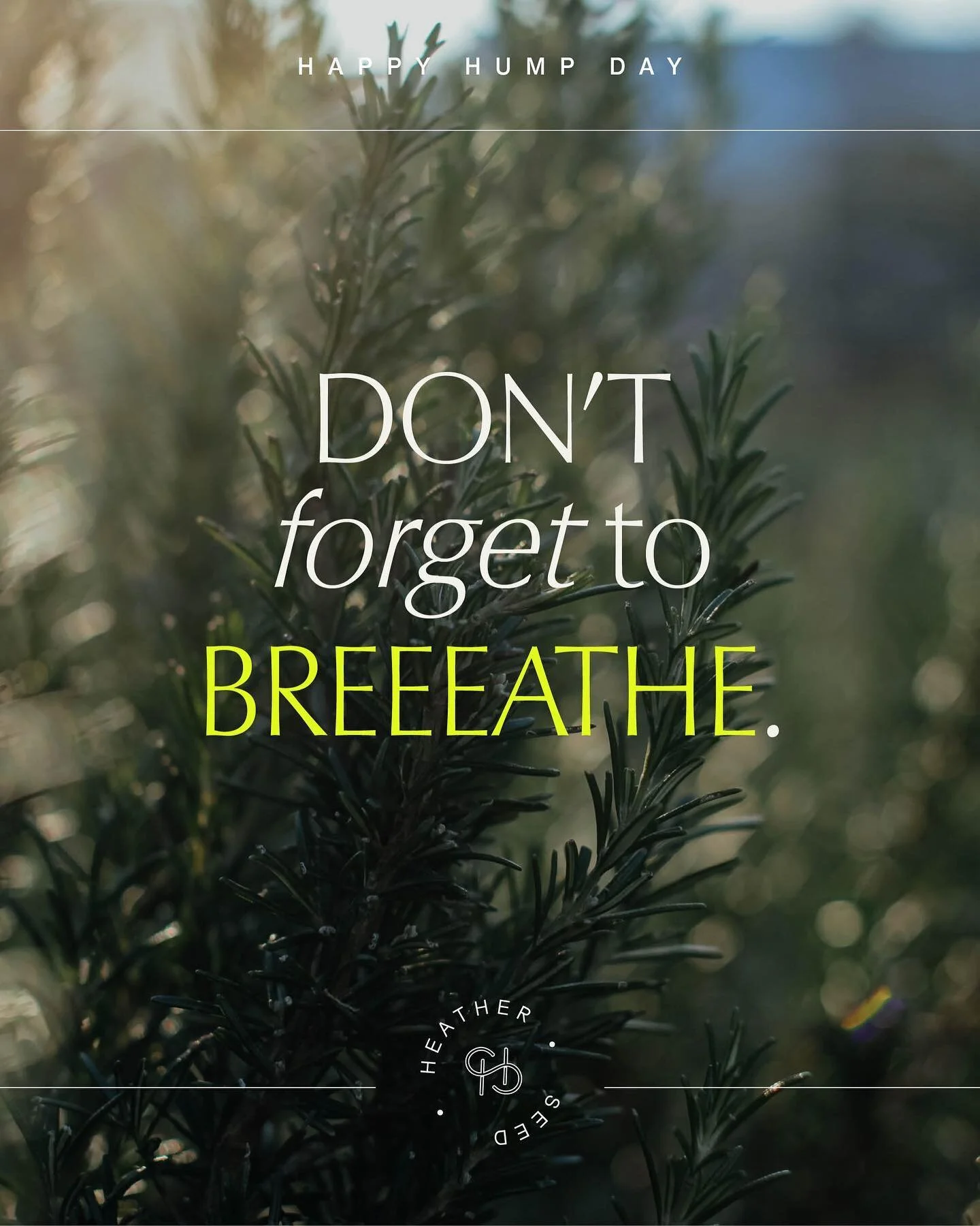 And breeeathe 🙏
This is your reminder to get outside and take a few minutes 🌿

Been a busy week so far juggling lots of new work and talking to some really interesting new clients which I LOVE. Just need to remember to stop ✋ breathe 🧘 and get out