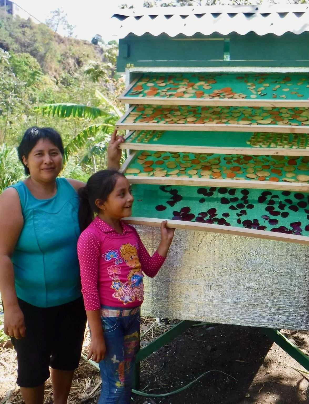 A woman and a girl standing outdoors next to a multi-tiered drying rack with various colored objects, possibly fruits or vegetables, laid out to dry. The background features greenery and trees.
