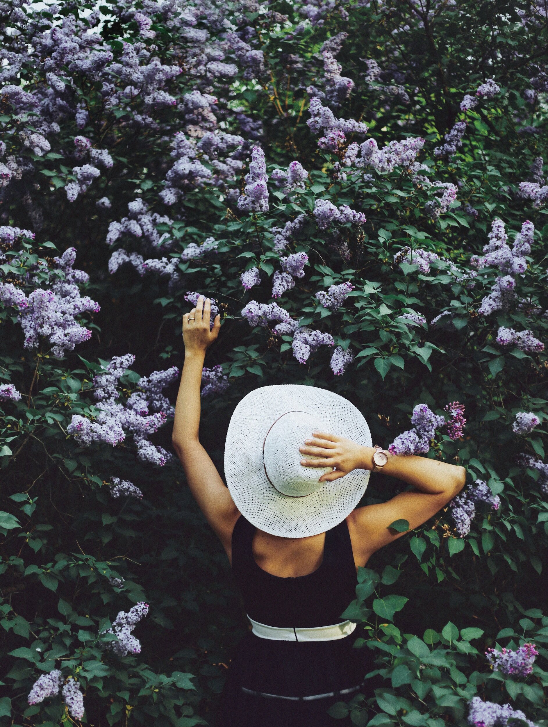 Aromatherapy Week